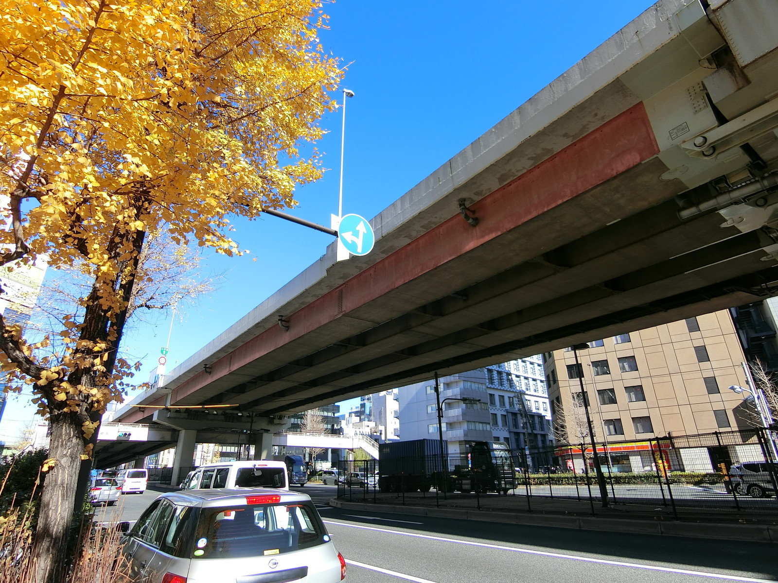 付近の昭和通り