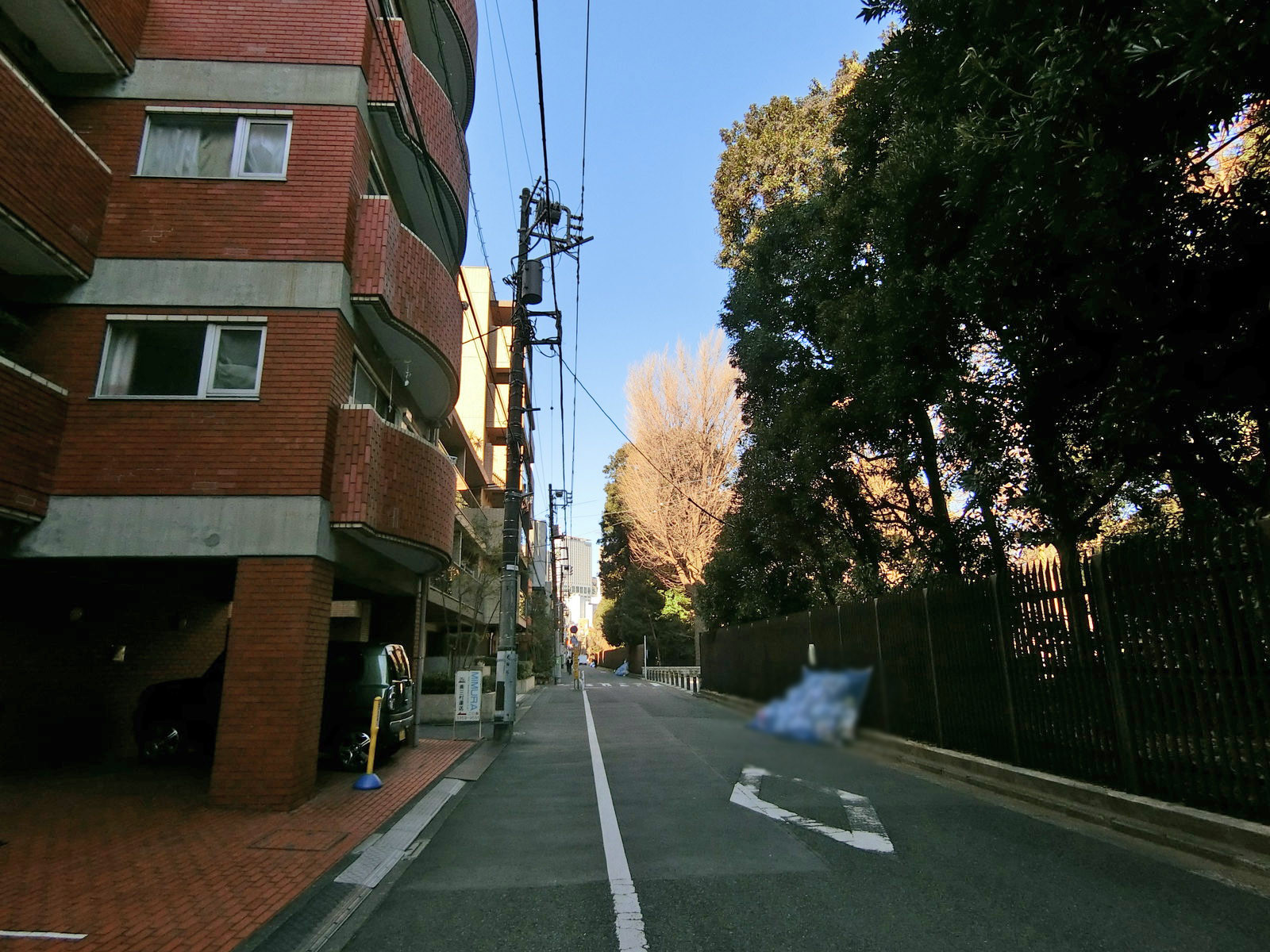 コートリィ前面の通り