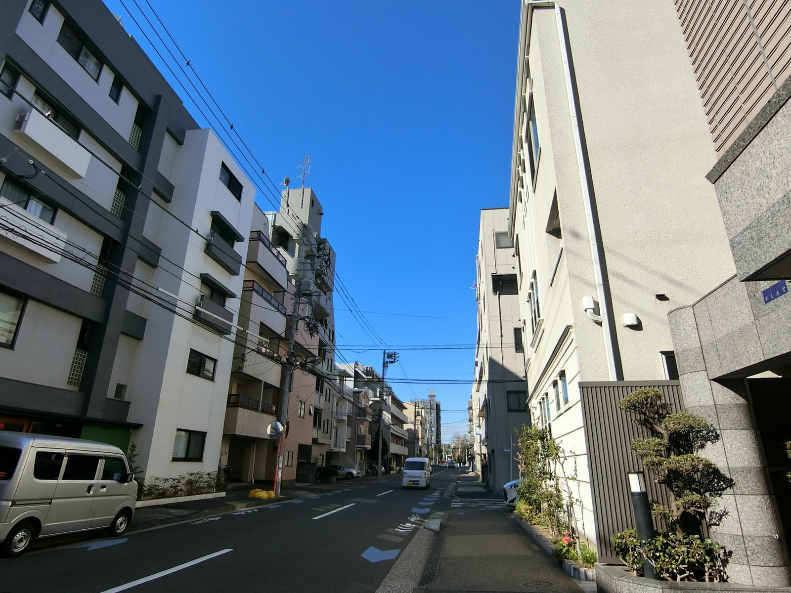 キャナルフロント清澄白河前面の通り
