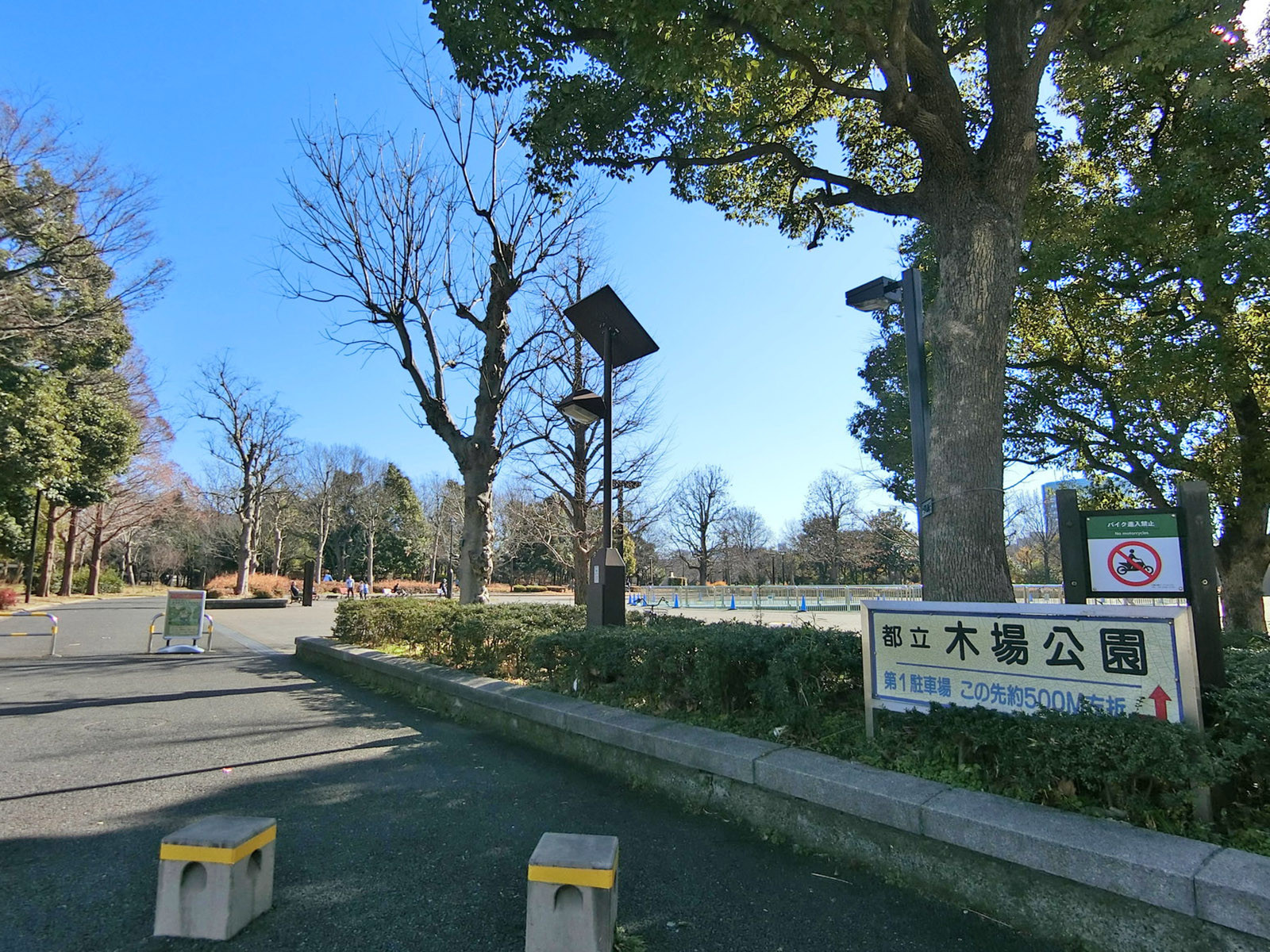 付近の都立木場公園