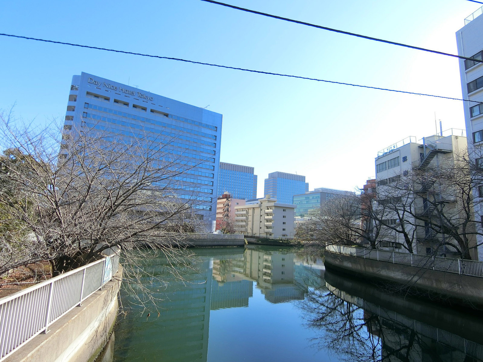 付近の大横川
