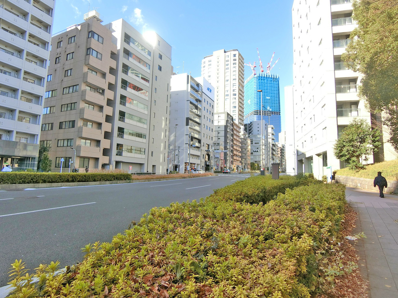 VORT麻布イースト前面の桜田通り