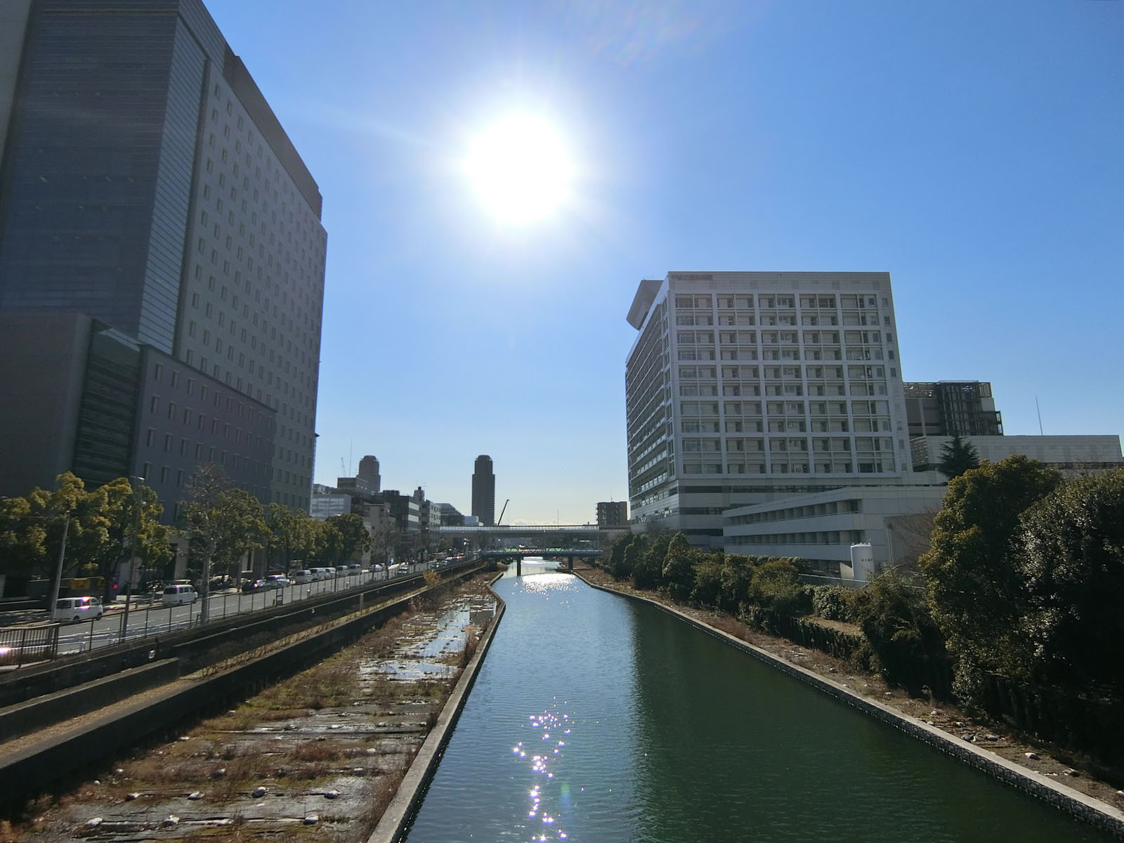 付近の横十間川