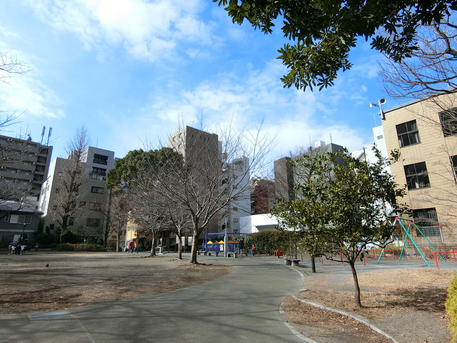 向かいの箱崎公園
