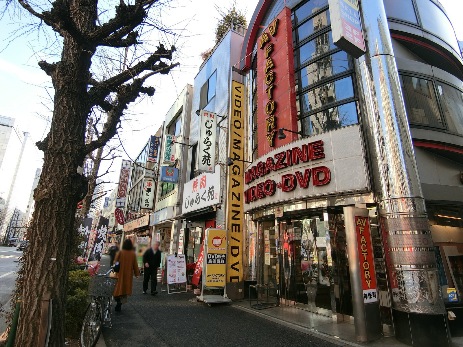 付近の白山通り