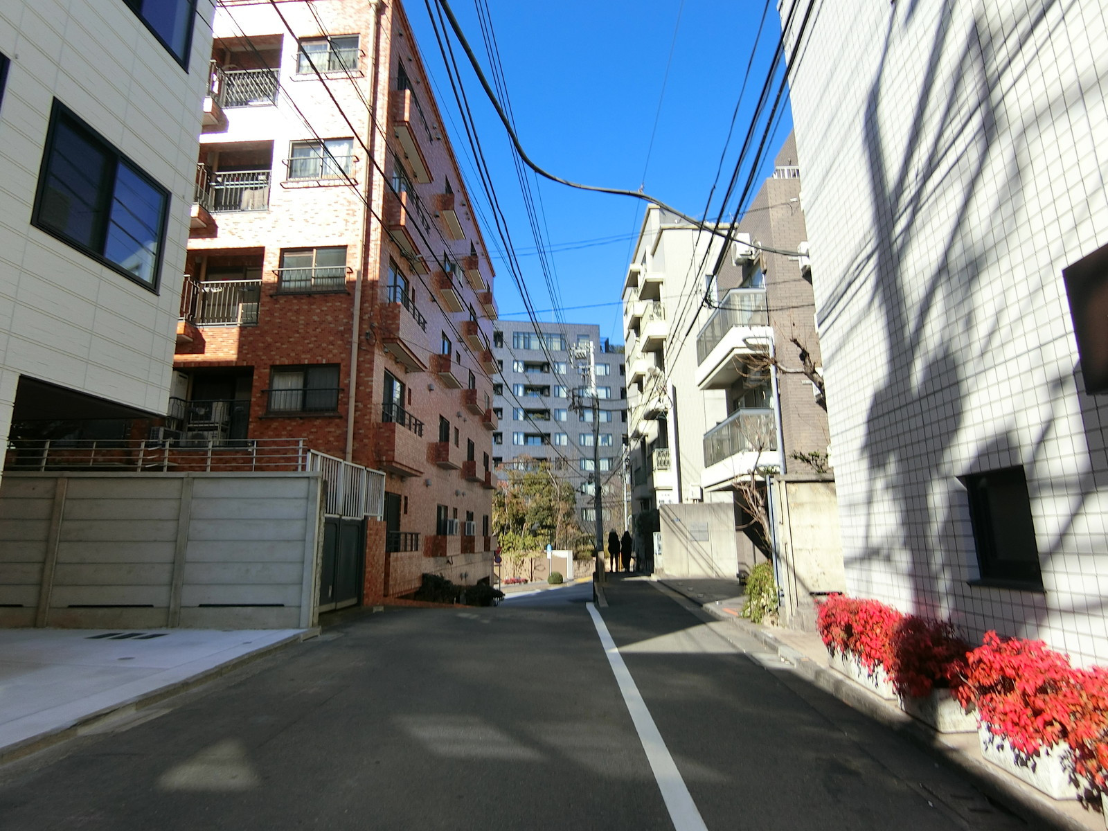 ベルセル南青山前面の通り