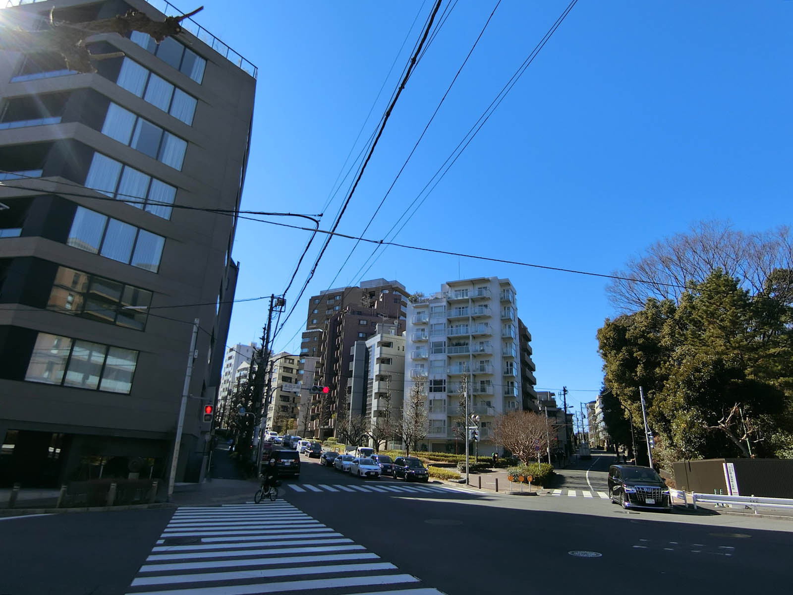 ベルエアー前面の通り