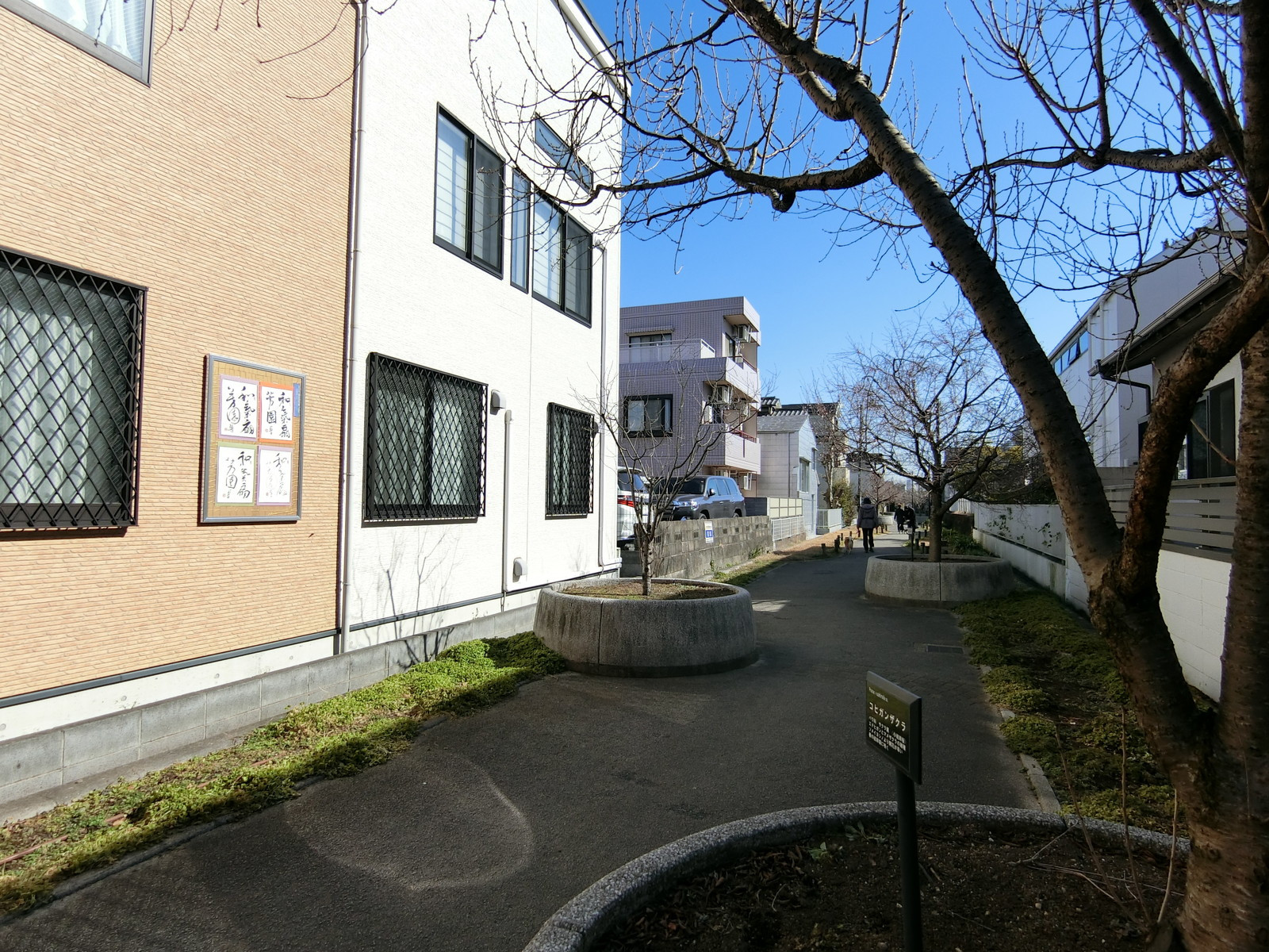 裏手の緑道