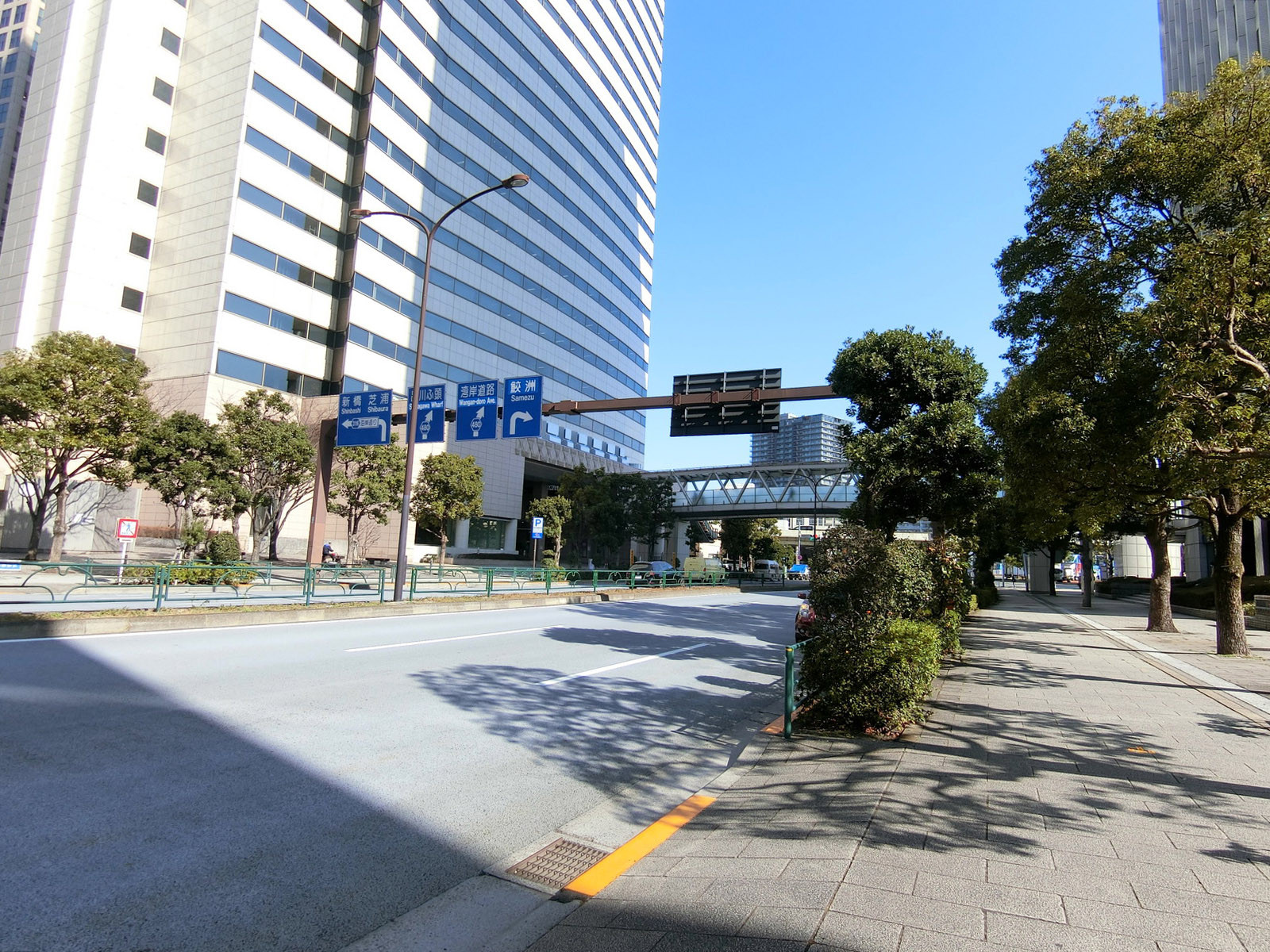 近くの海岸通り