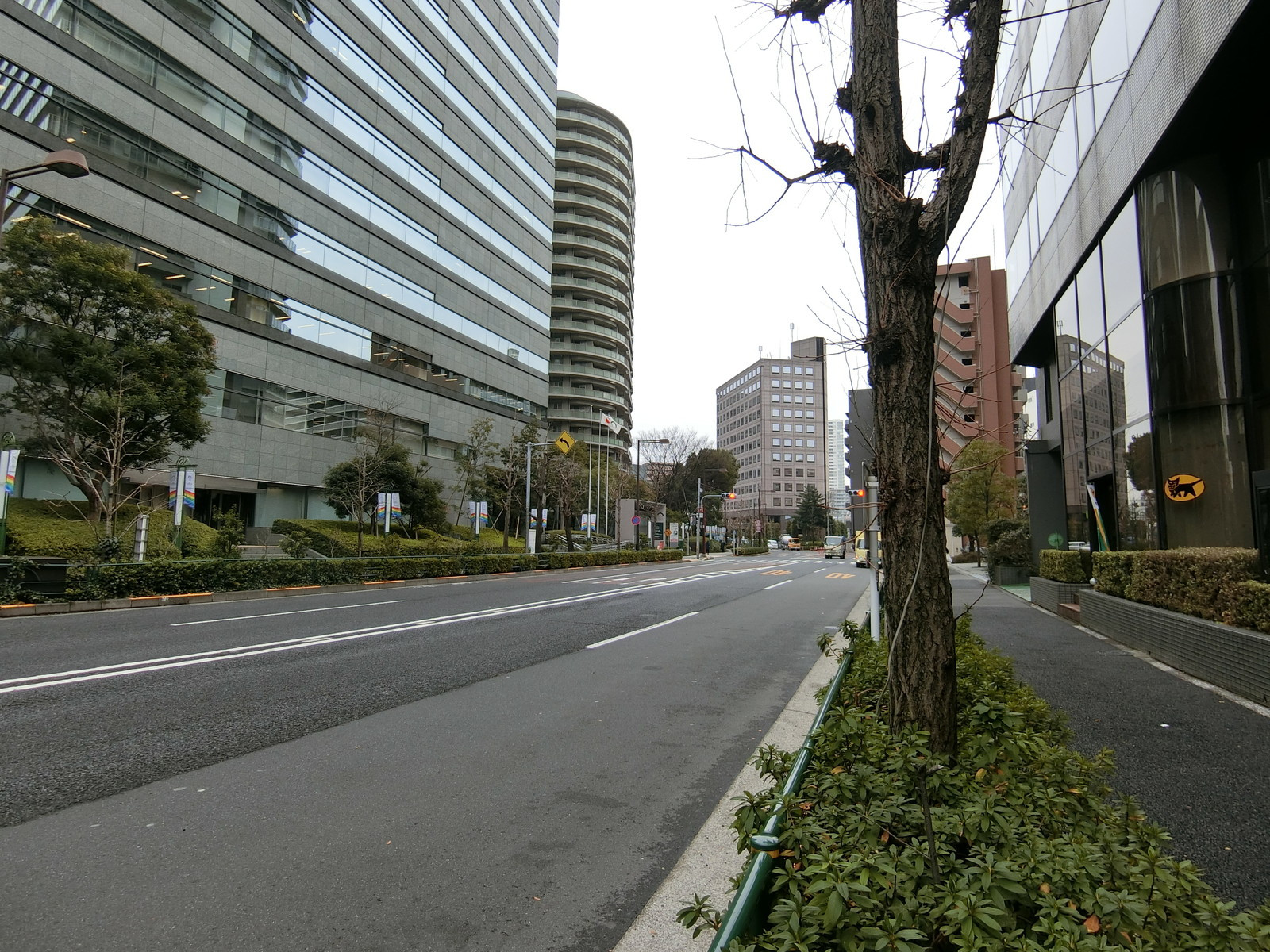 磯田ビル前面の通り