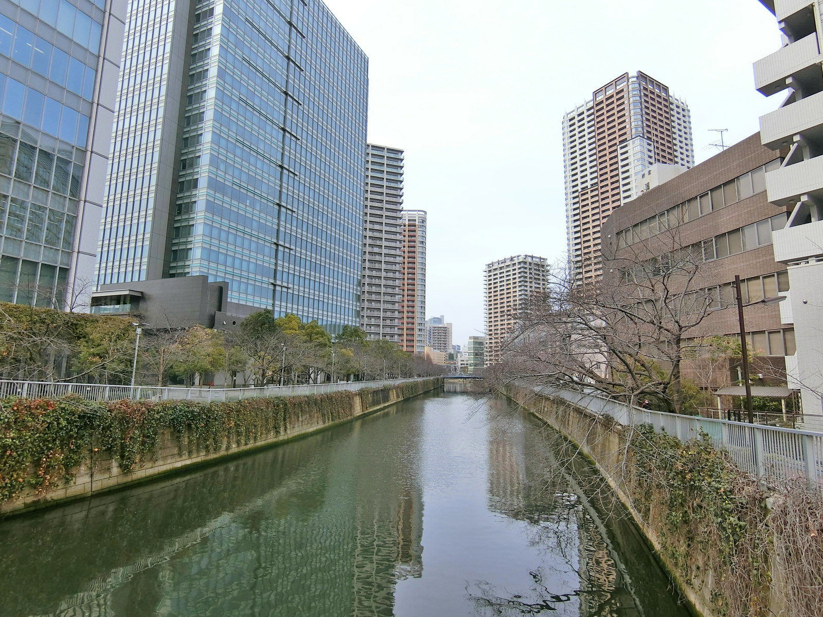 ビル裏の目黒川
