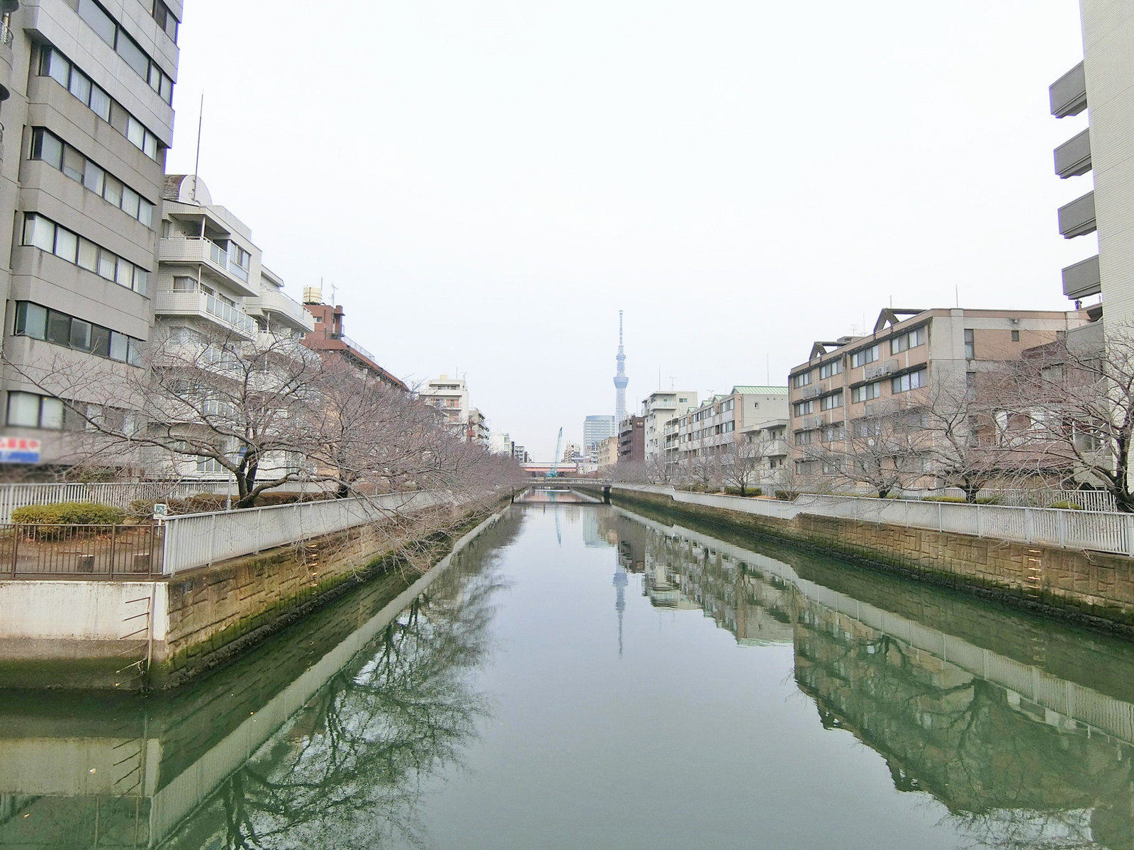 ビル裏には大横川
