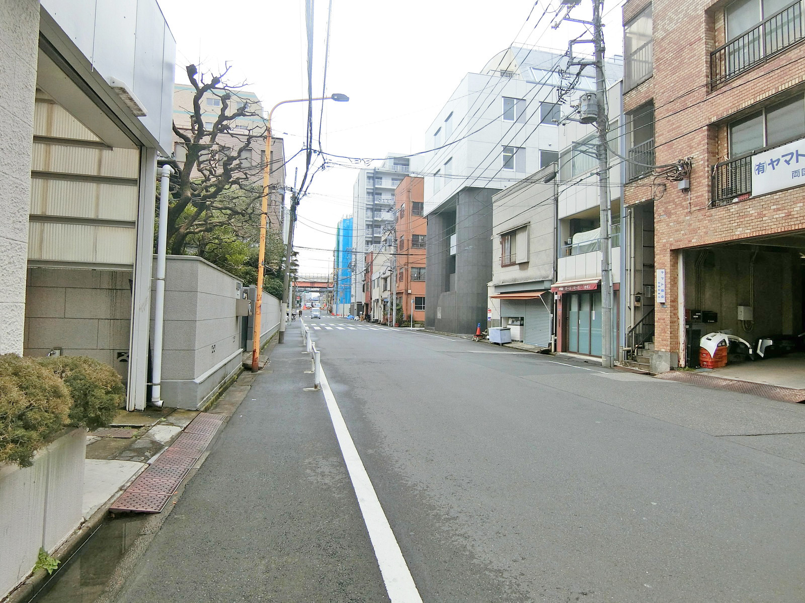 照田ビル前面の通り