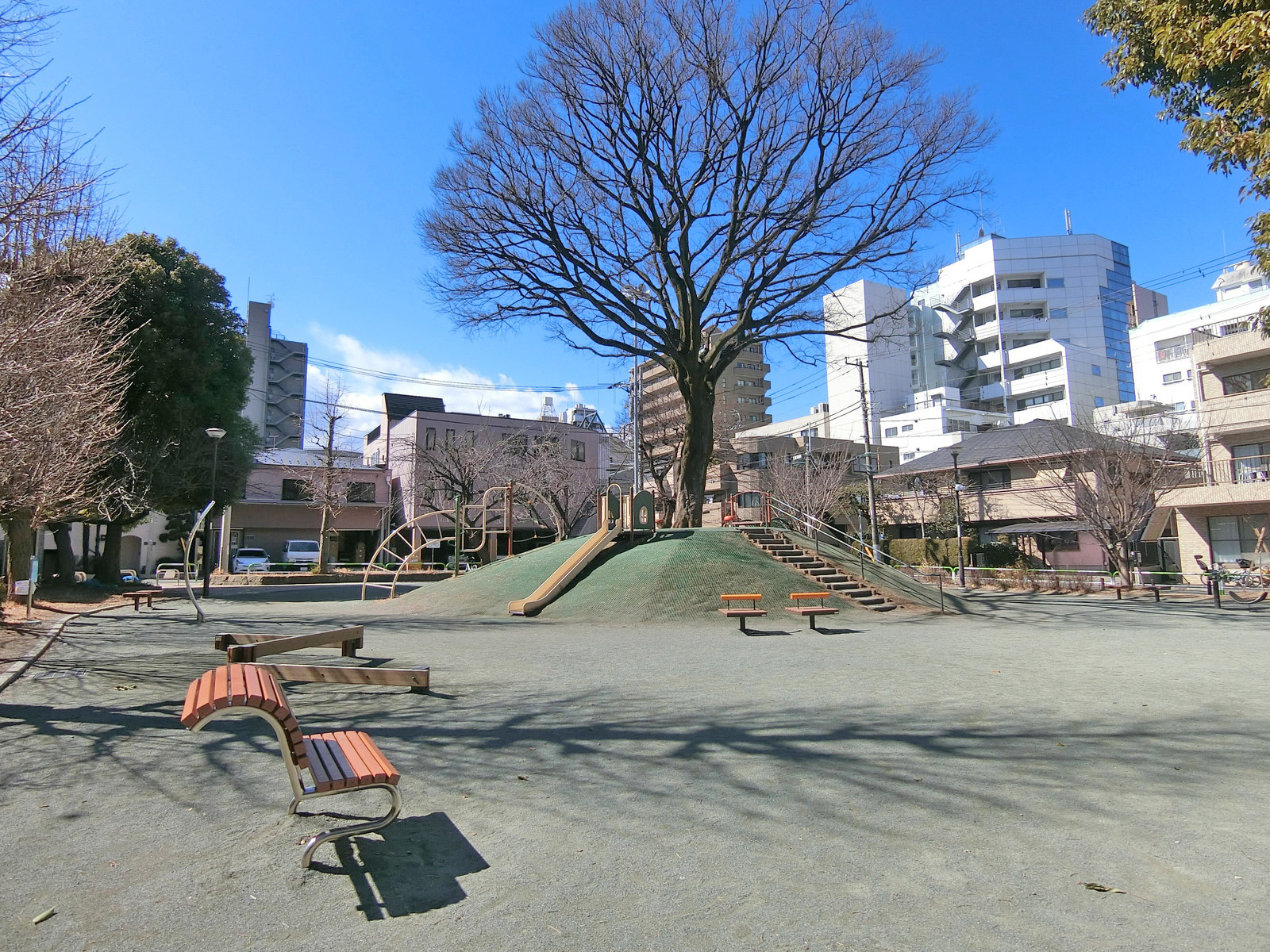 隣の冨士前公園