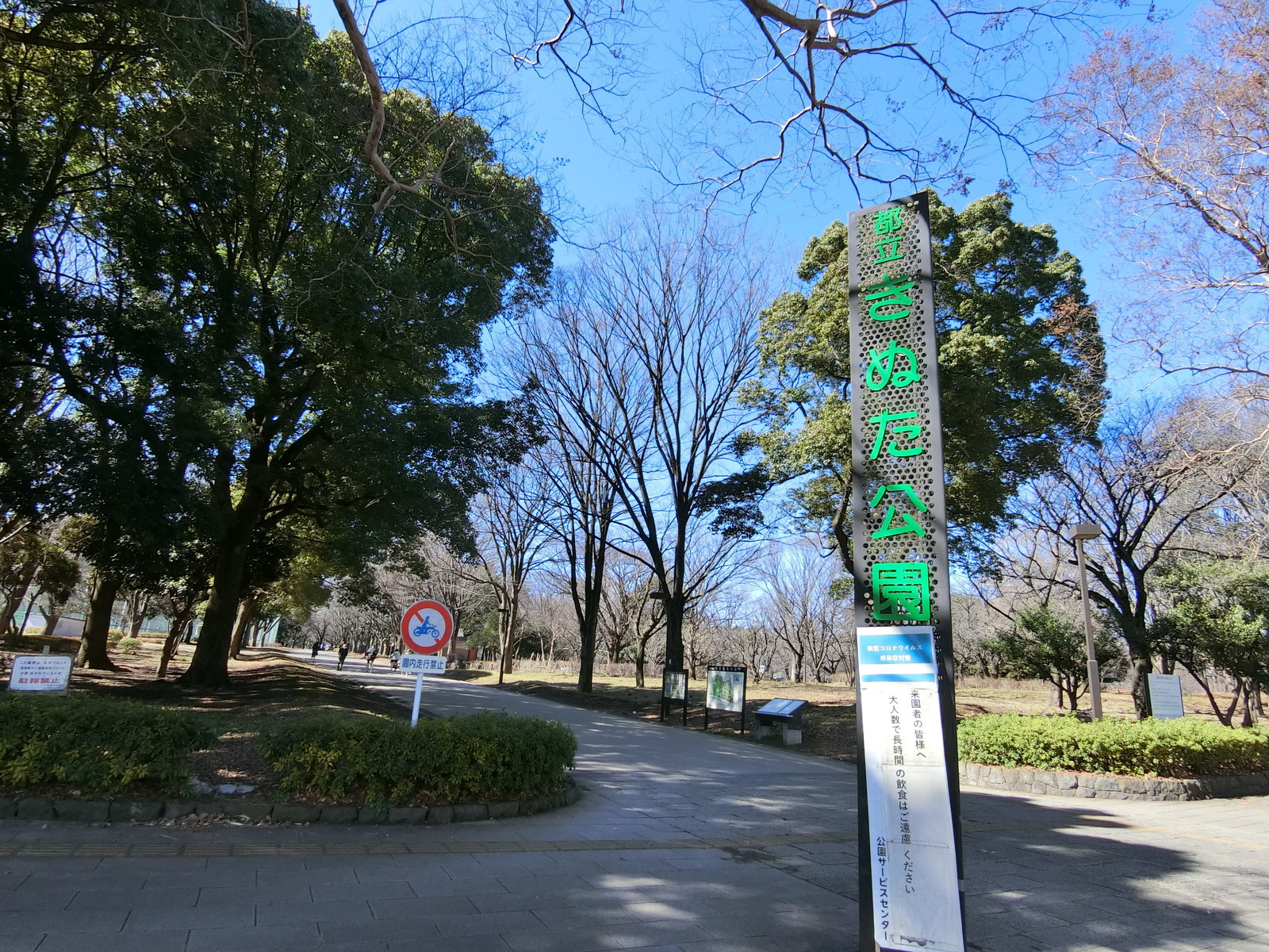 向かいの砧公園
