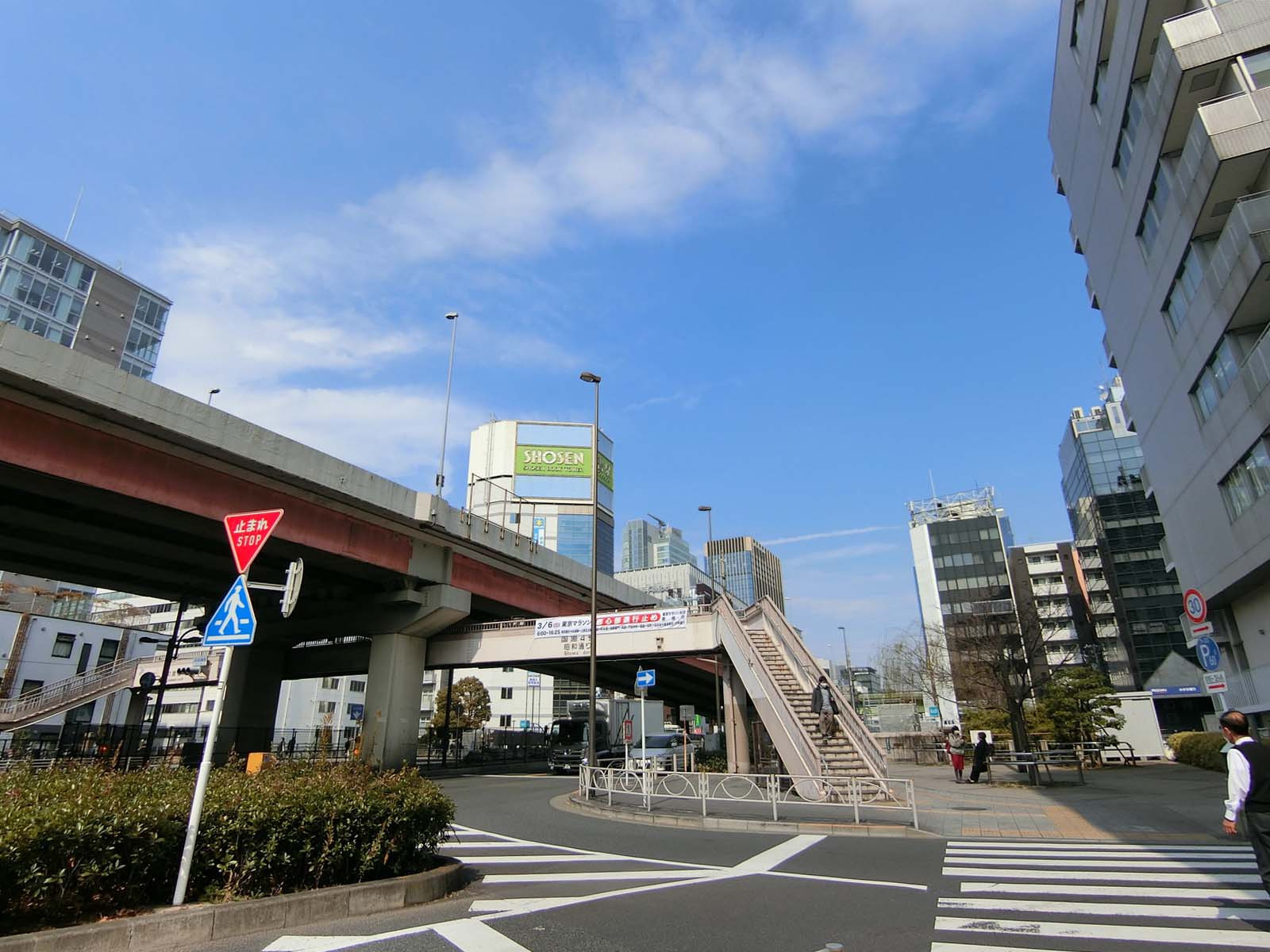 付近の昭和通り