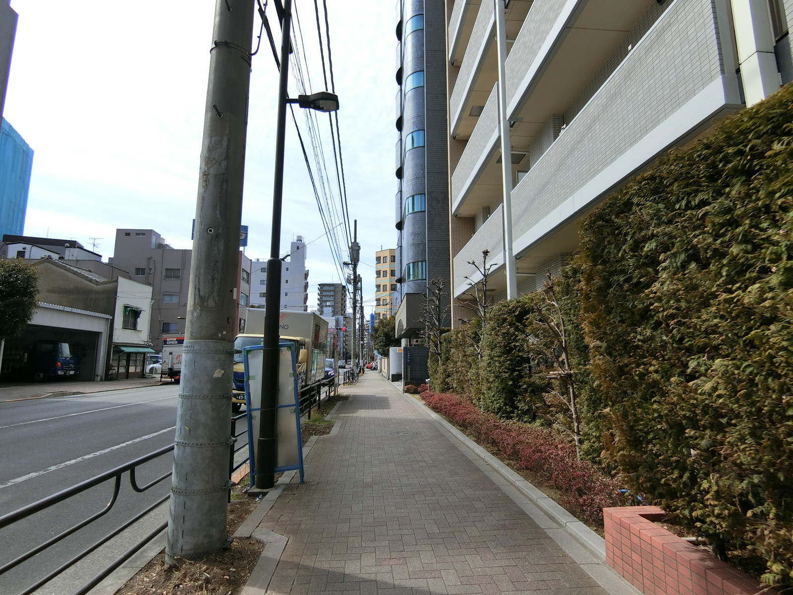 SHINSEIBUILDING前面の通り