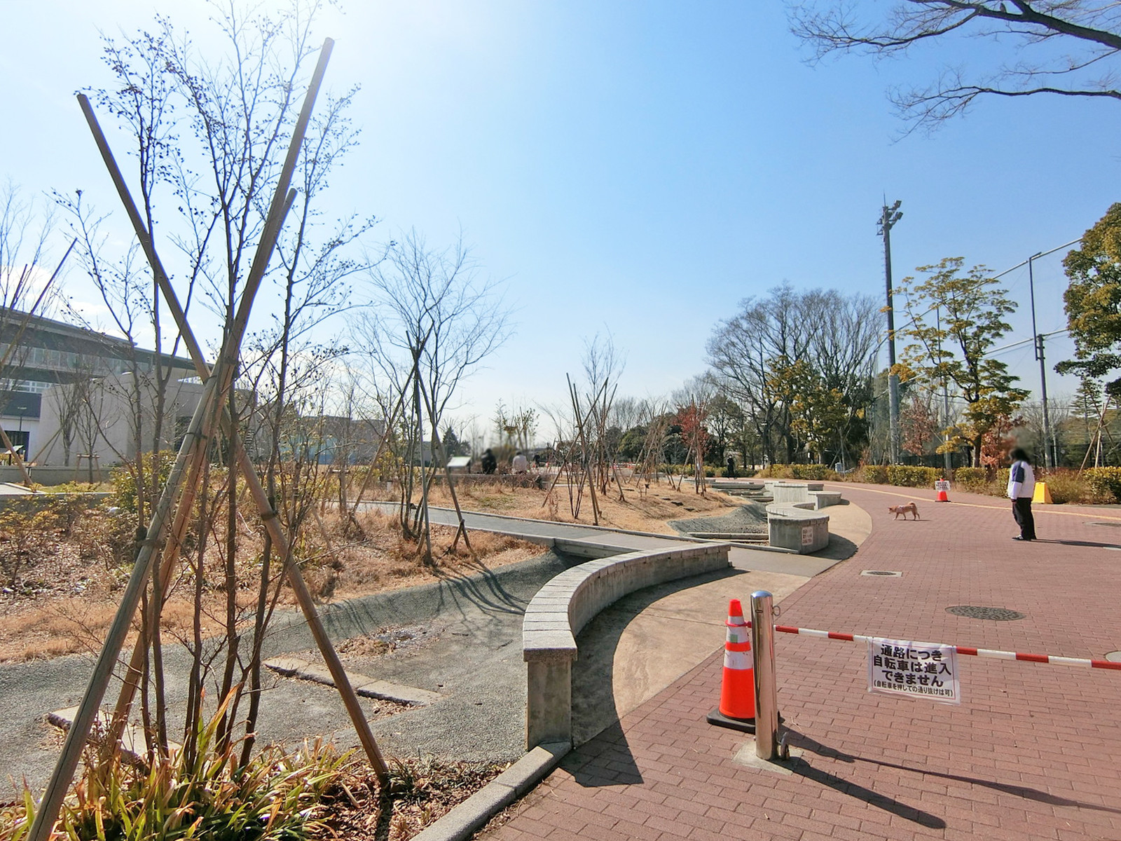 近くの公園