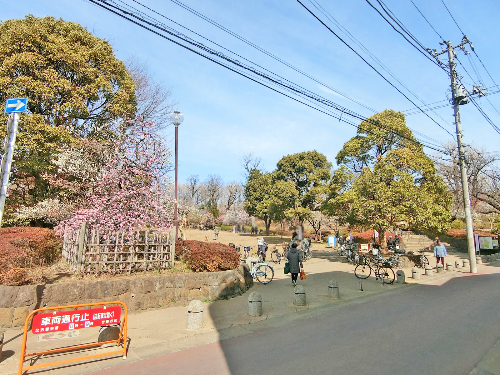近くの公園