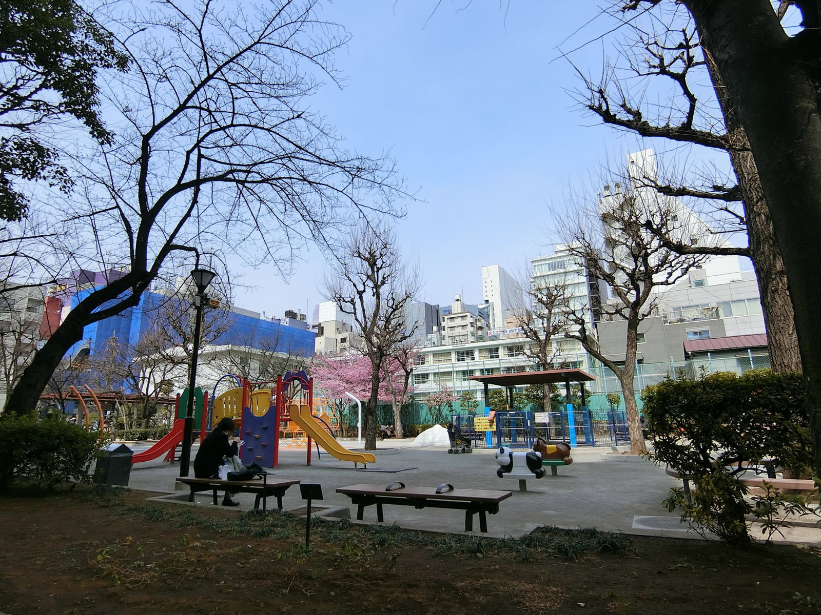 近くの竹町公園