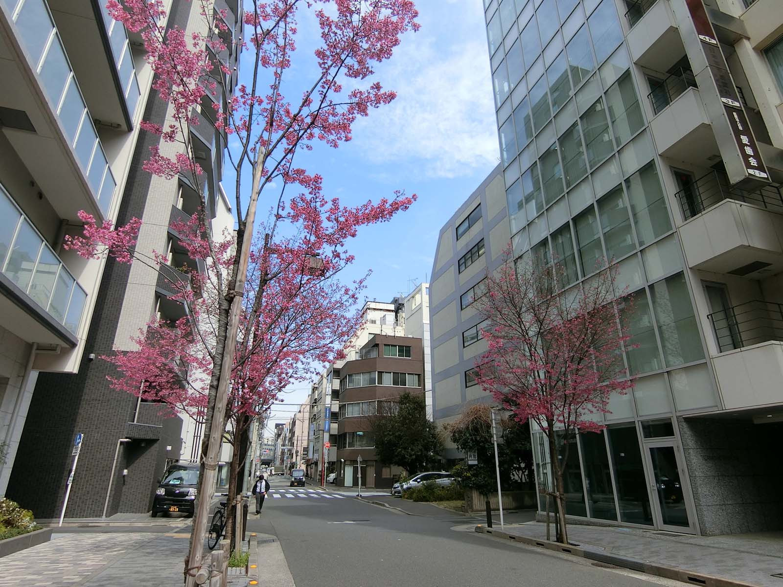 田澤日本橋ビル前面の通り