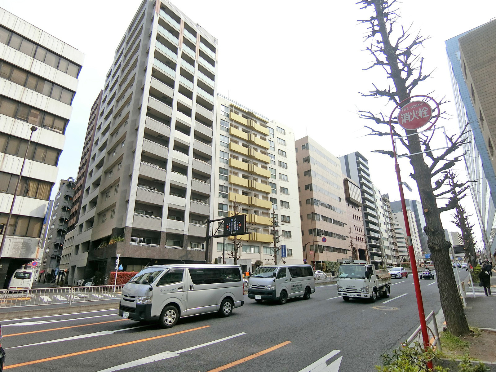 桜田通り沿いに立地