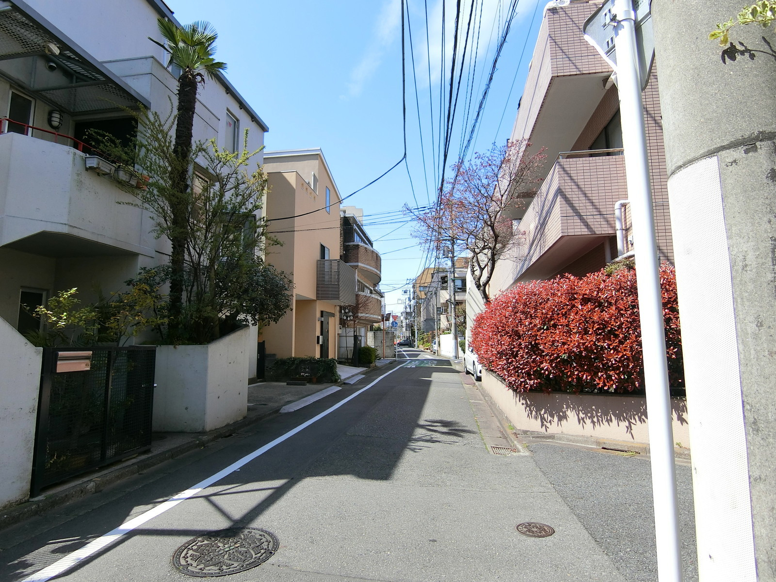 M'sビル前面の通り