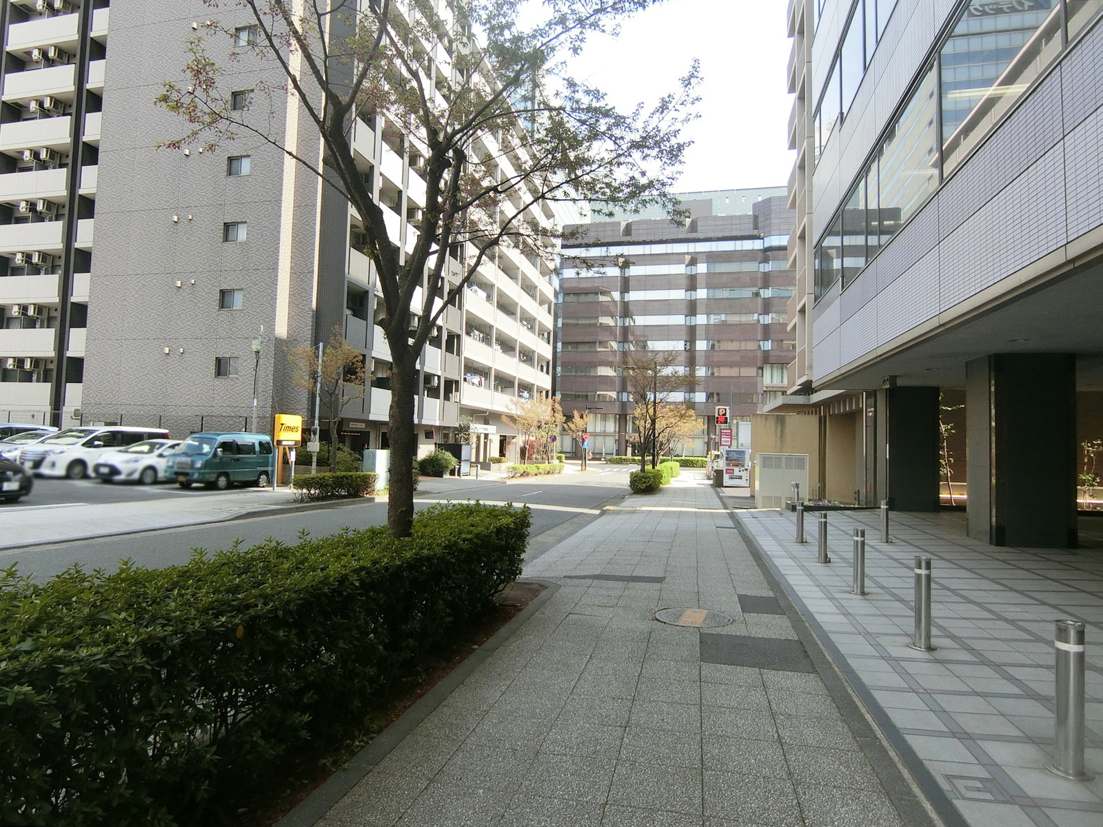 新横浜望星ビル前面の通り