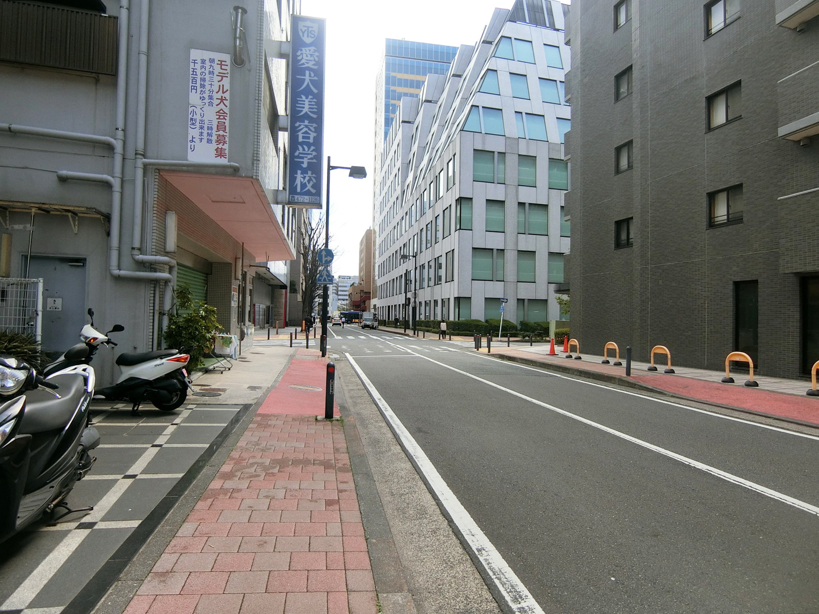 フォンターナ新横浜前面の通り
