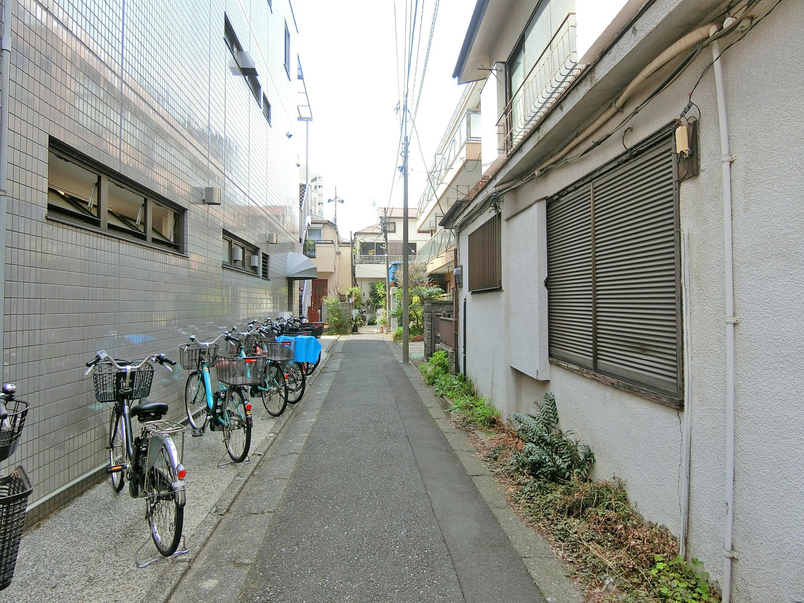 東興ビル前面の通り