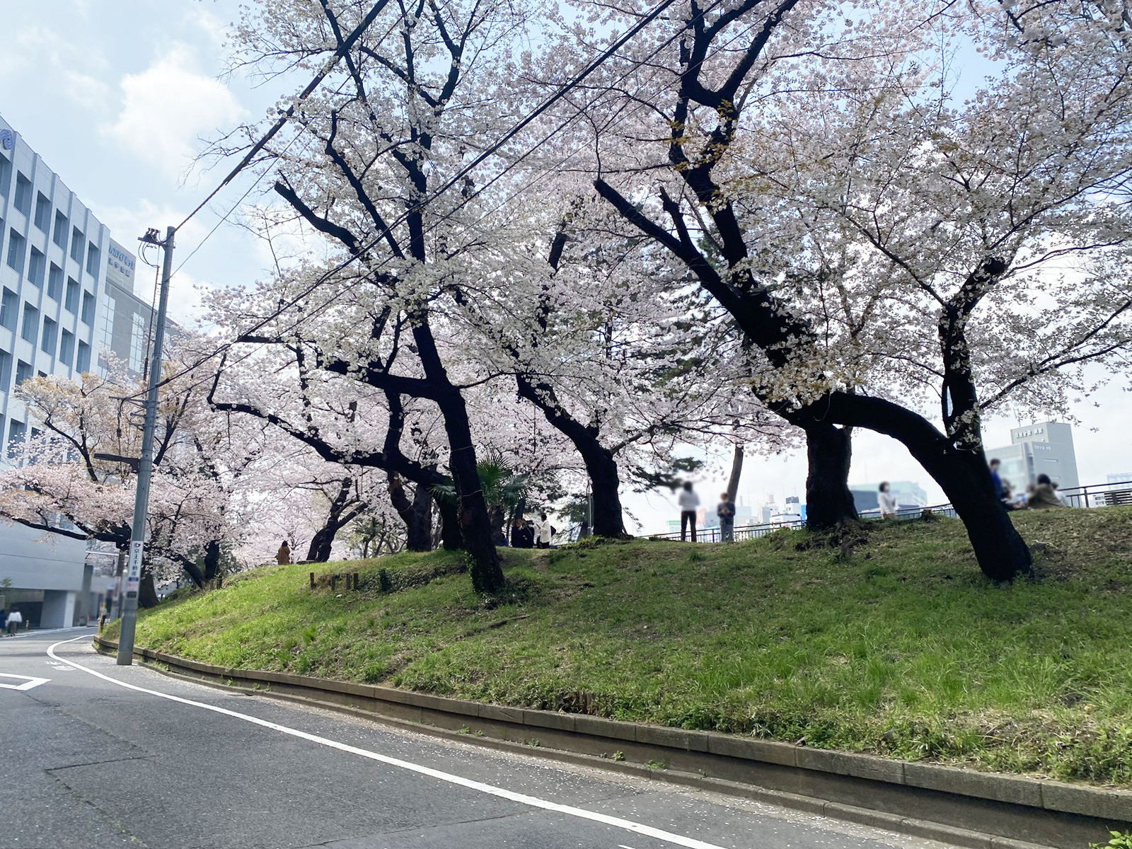 向かいの公園