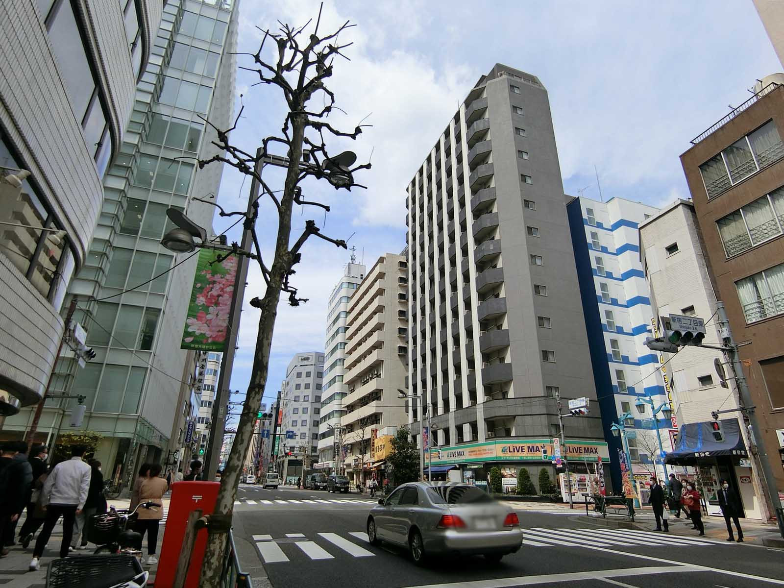 付近の新宿通り