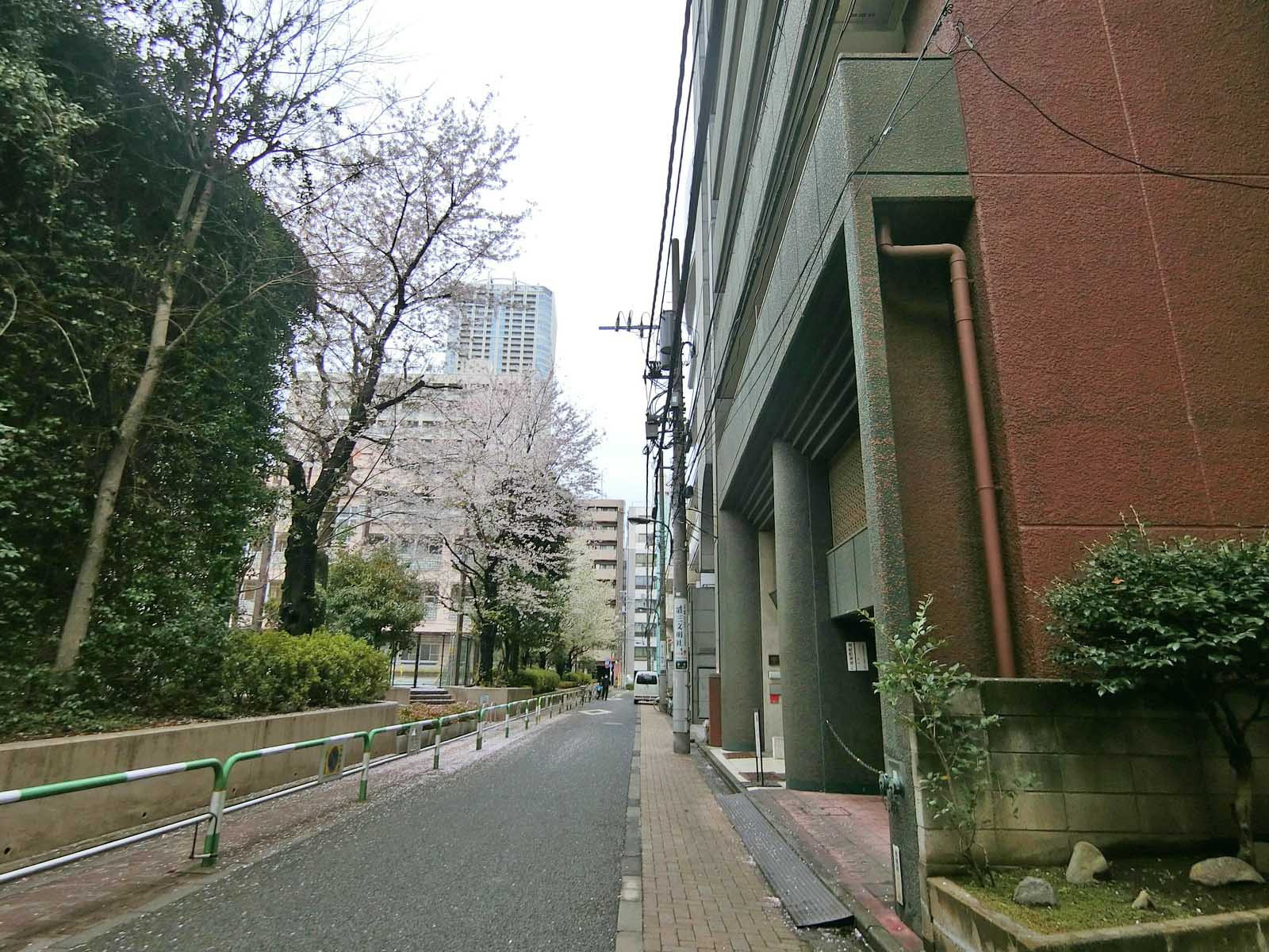 博洋堂新宿ビル前面の通り