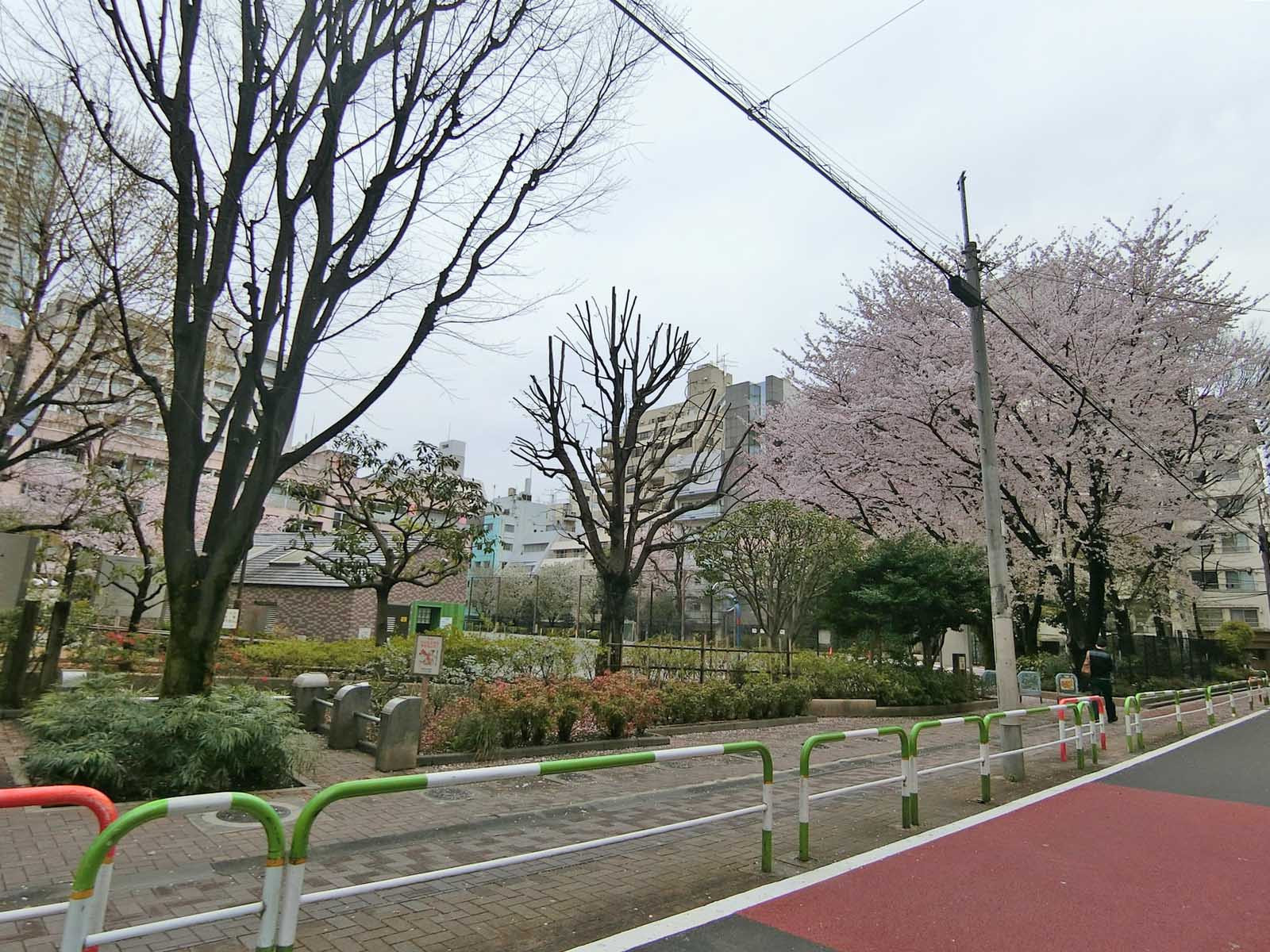 向かいの新宿区立花園公園