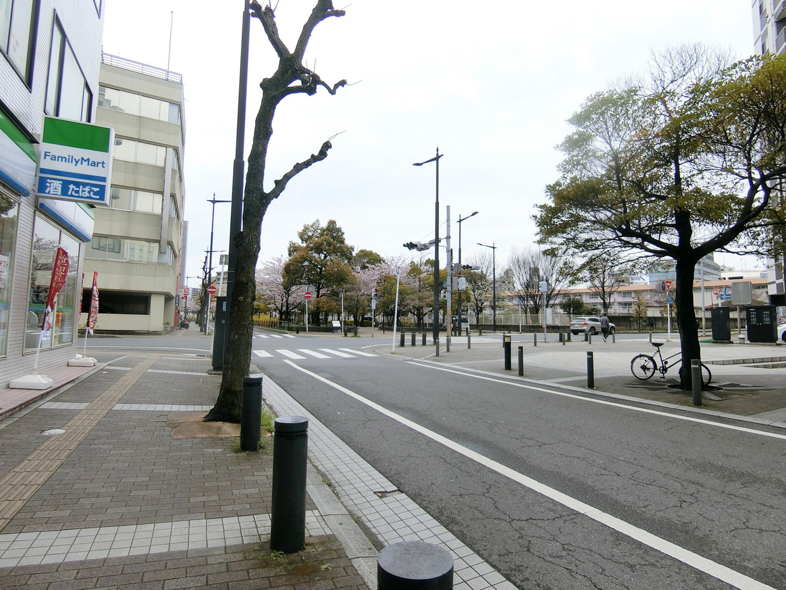 LKパークビル前面の通り