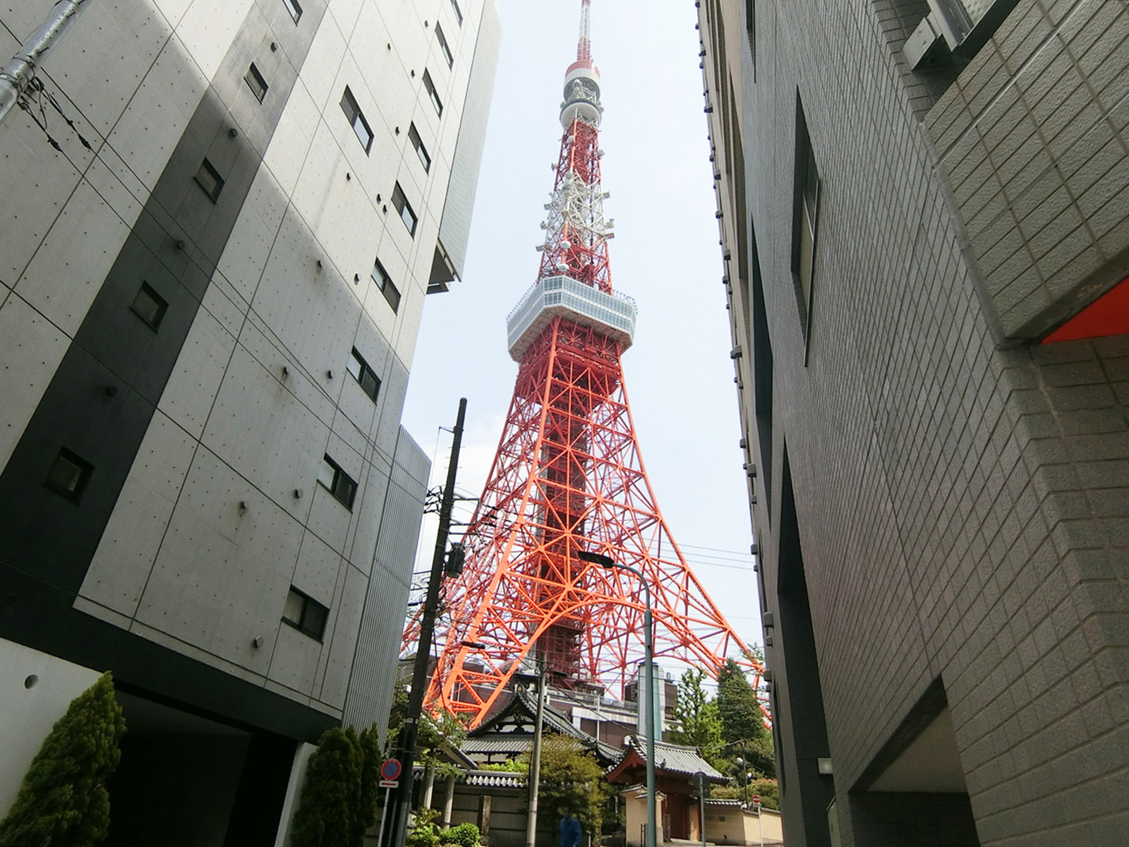 徒歩圏内の東京タワー