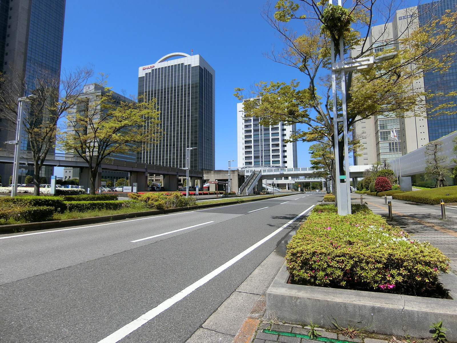 幕張国際ビル前面の通り