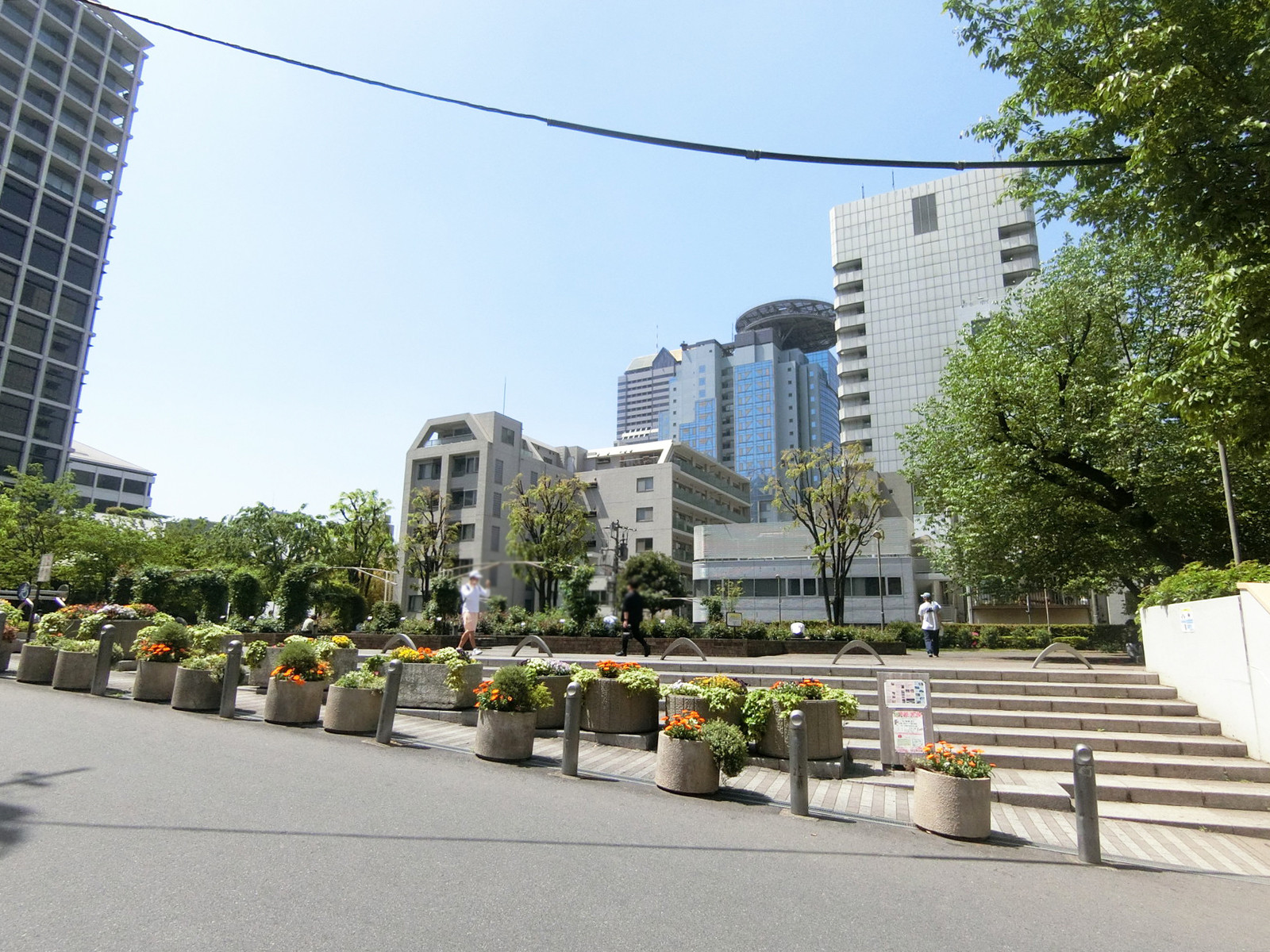 向かいの公園