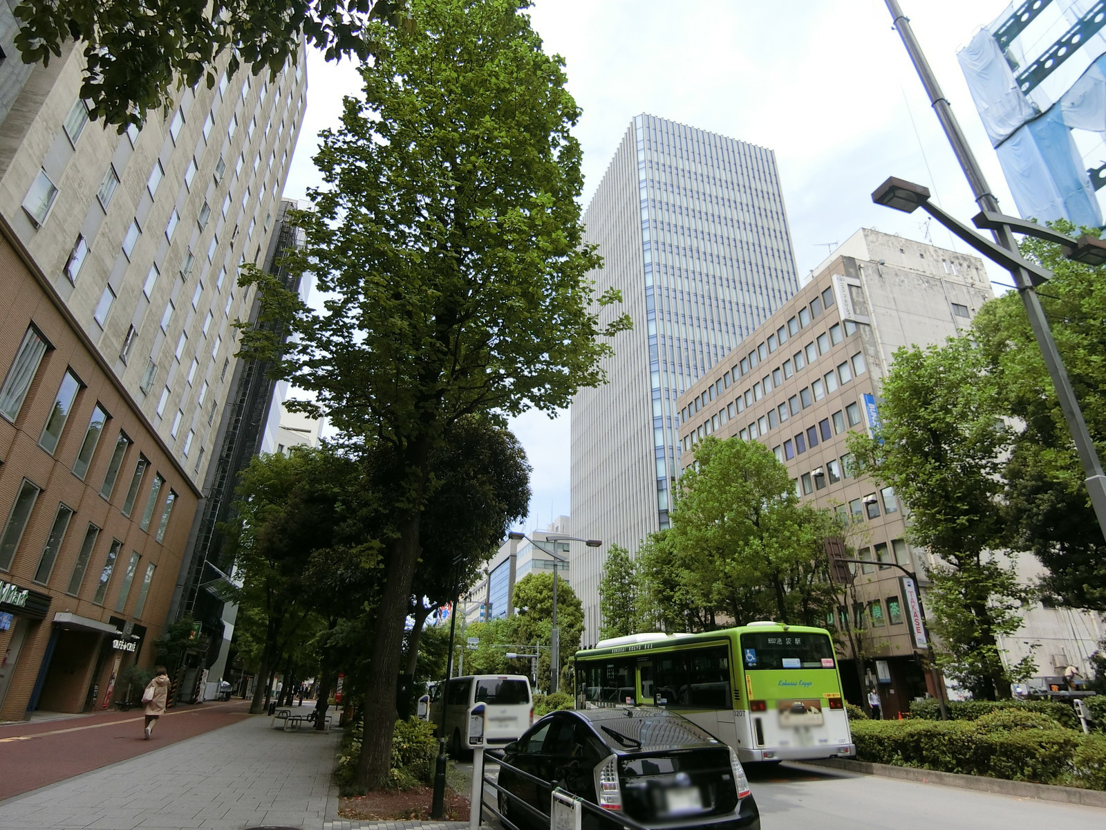 付近のグリーン大通り