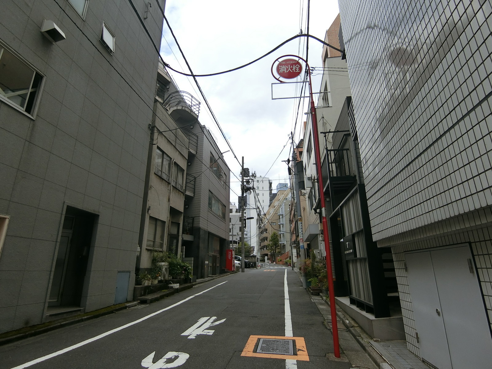 オフィスビル前面の通り