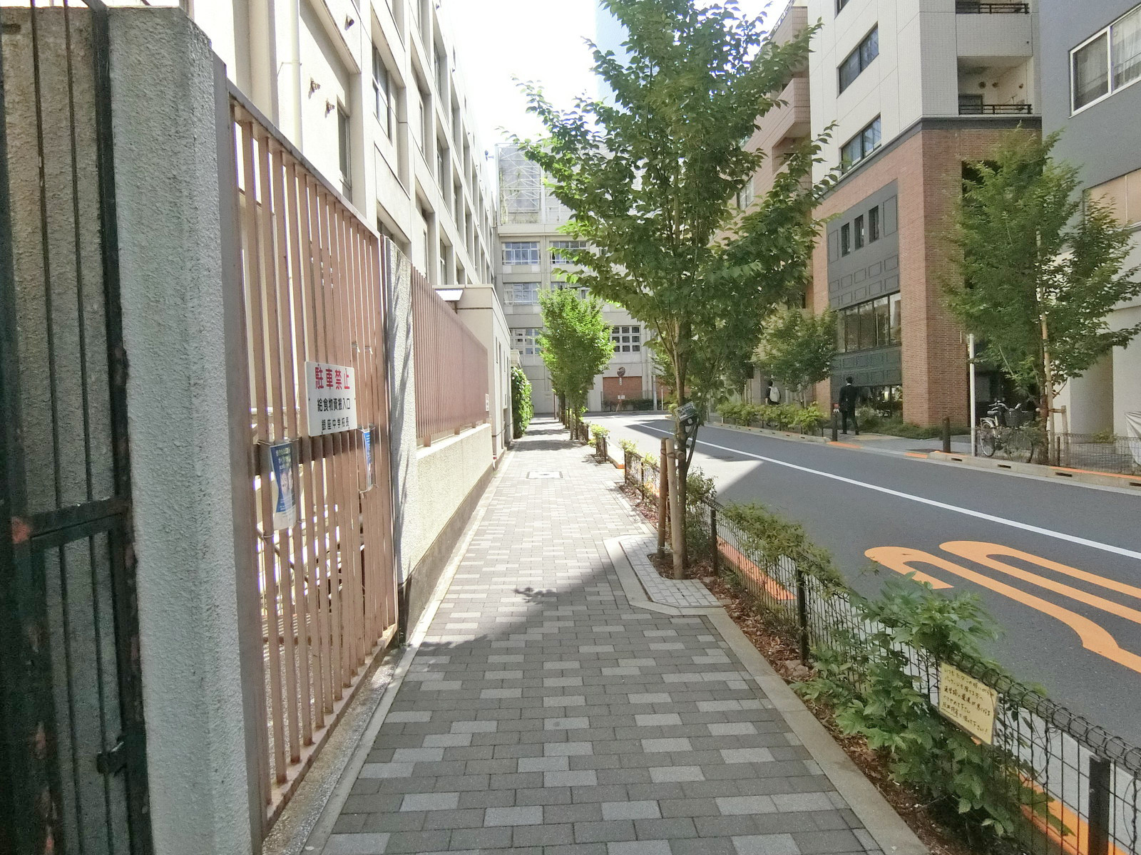 第三東栄ビル前面の通り