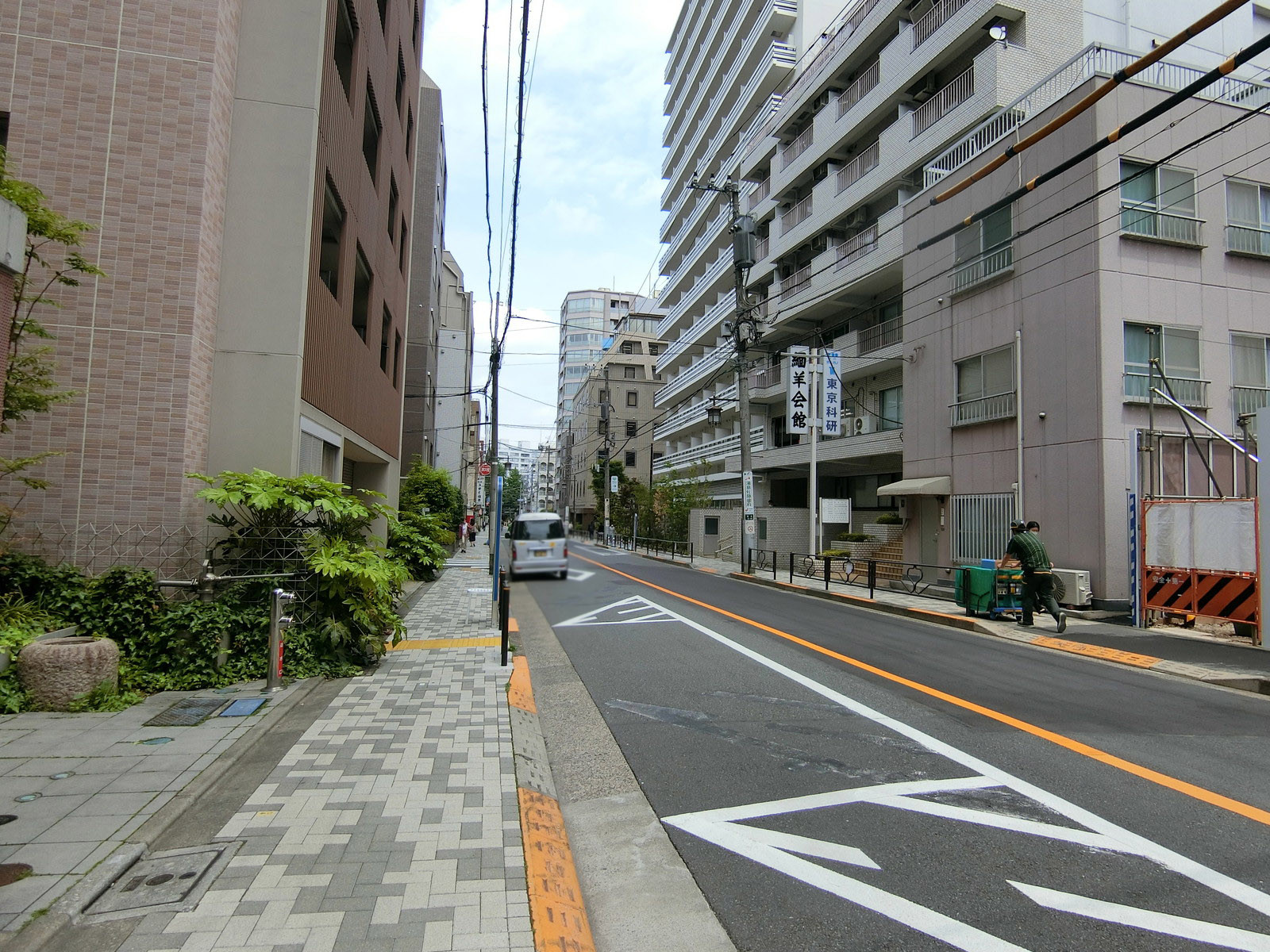 グレースカトレア前面の通り
