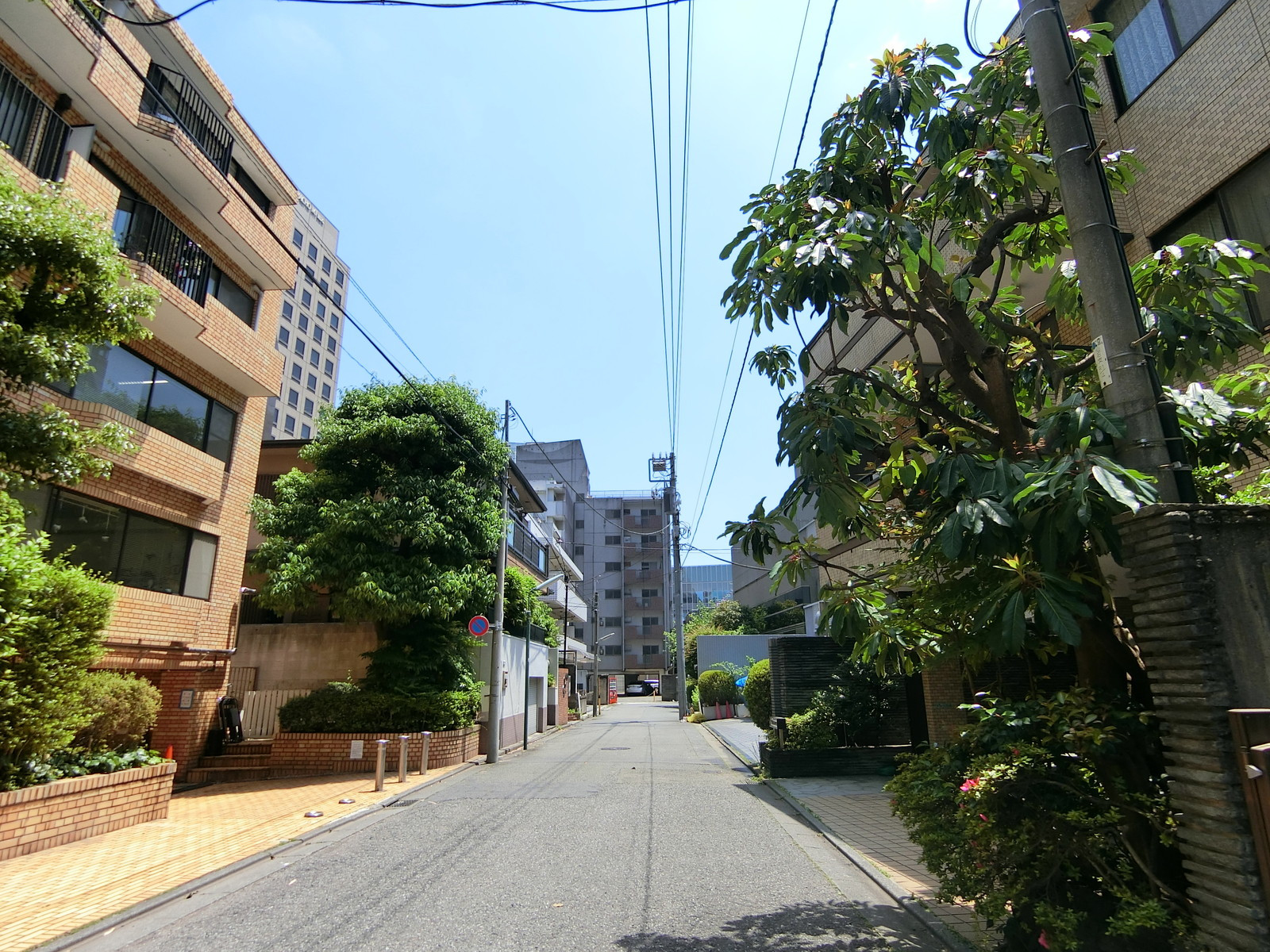 日産研会館前面の通り