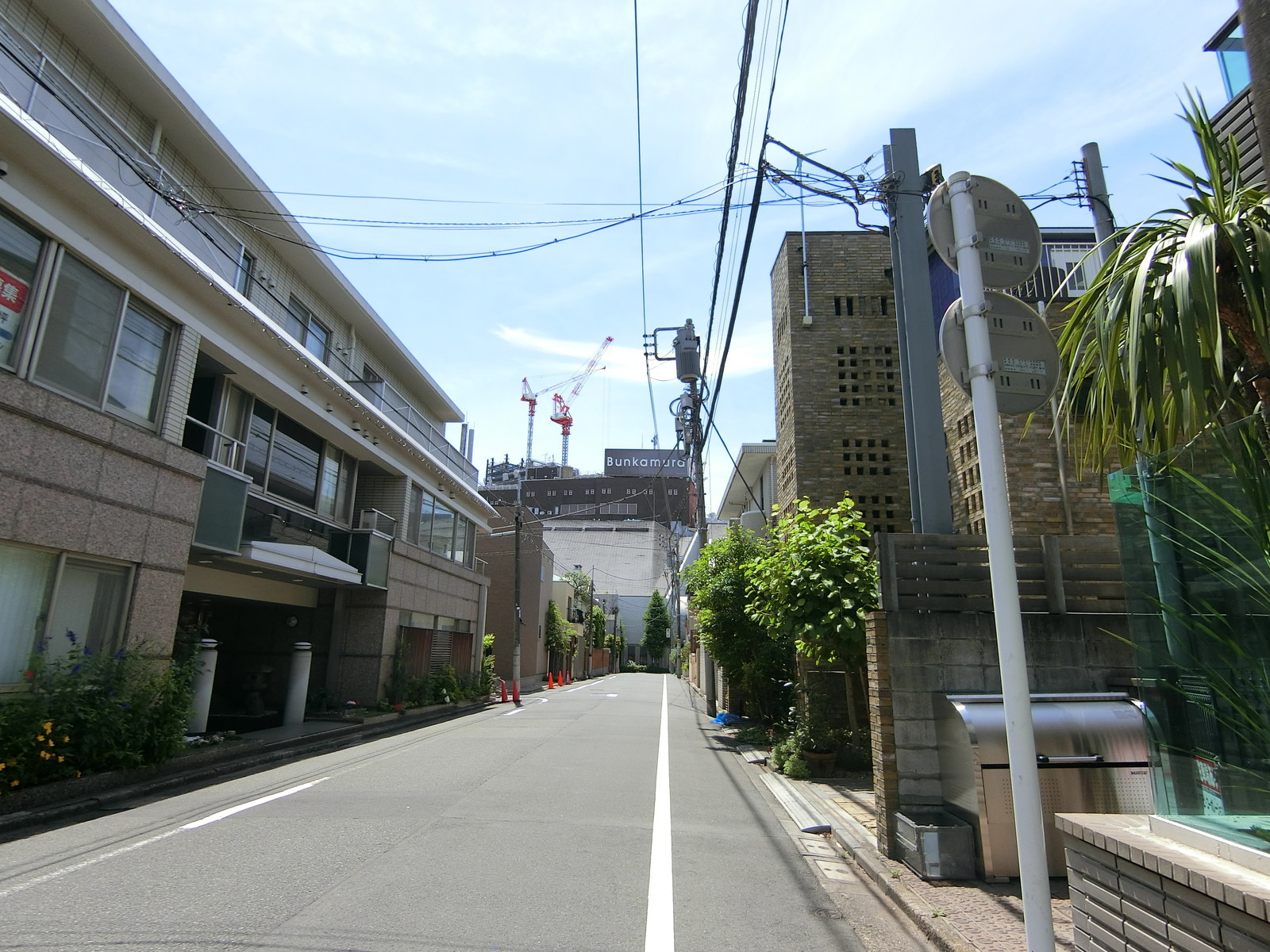 松涛アネックス前面の通り