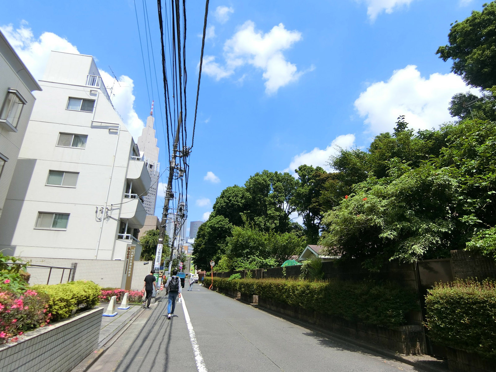 周辺は落ち着いたエリア