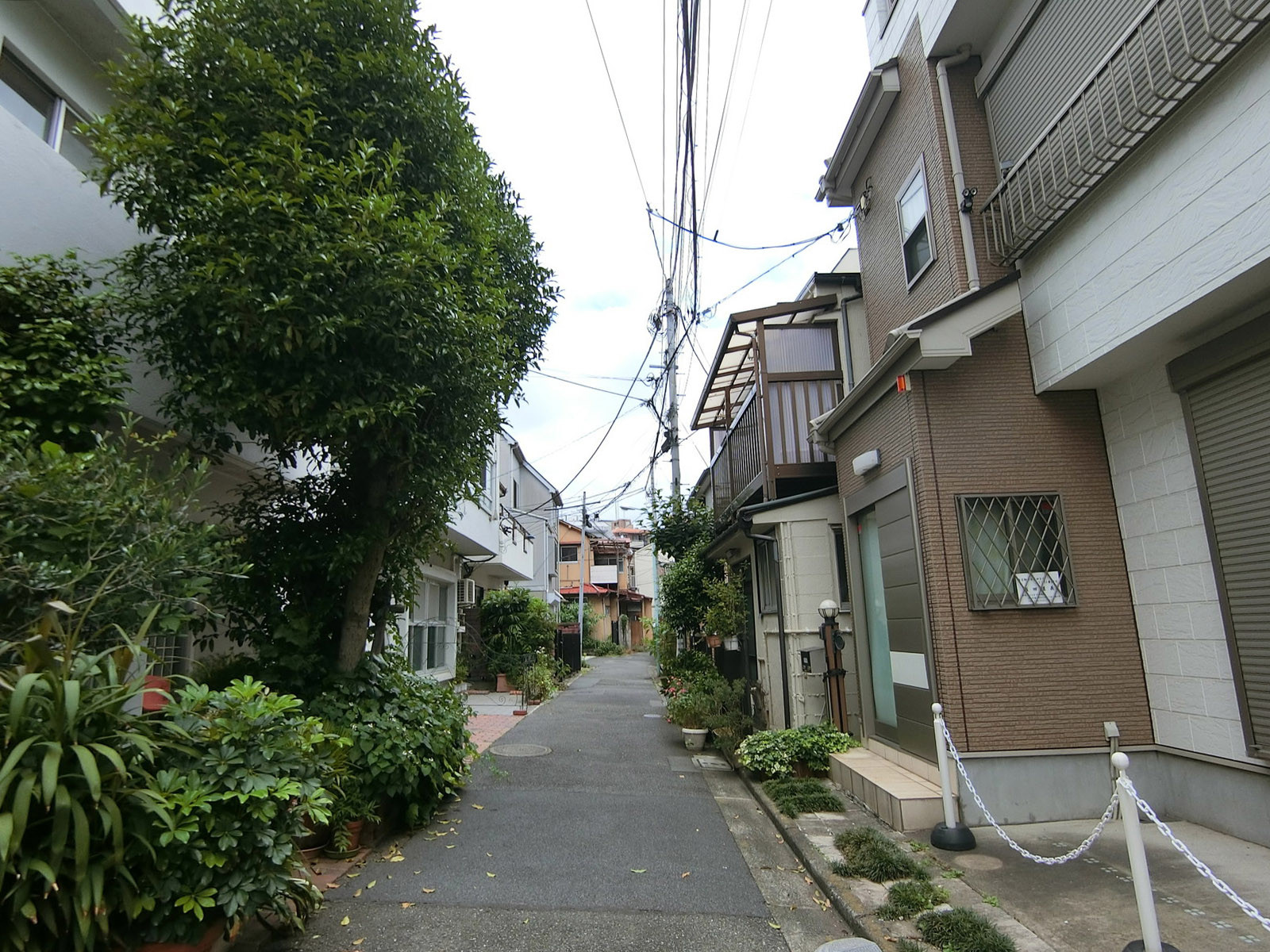 野尻マンション前面の通り