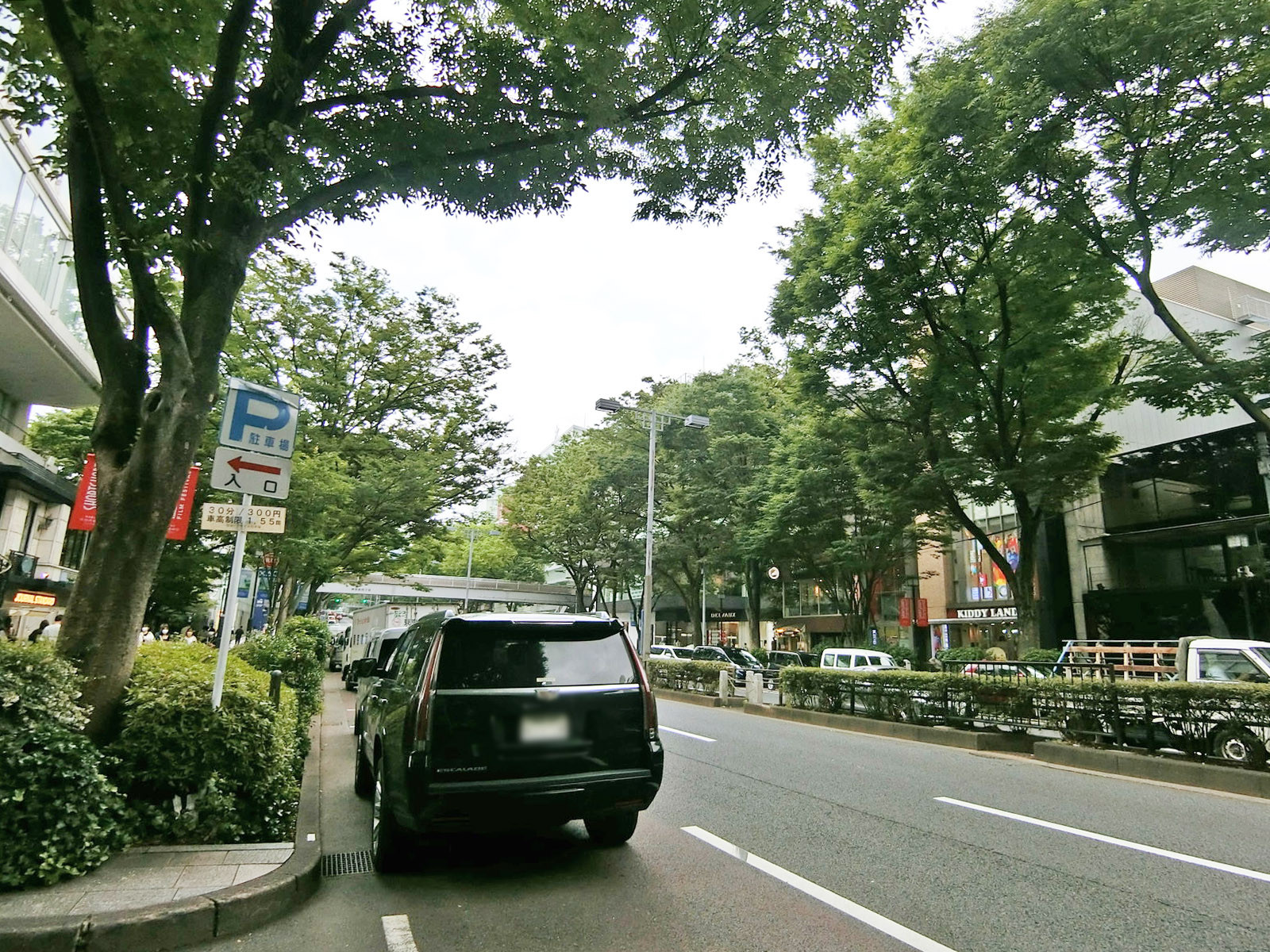 付近の表参道