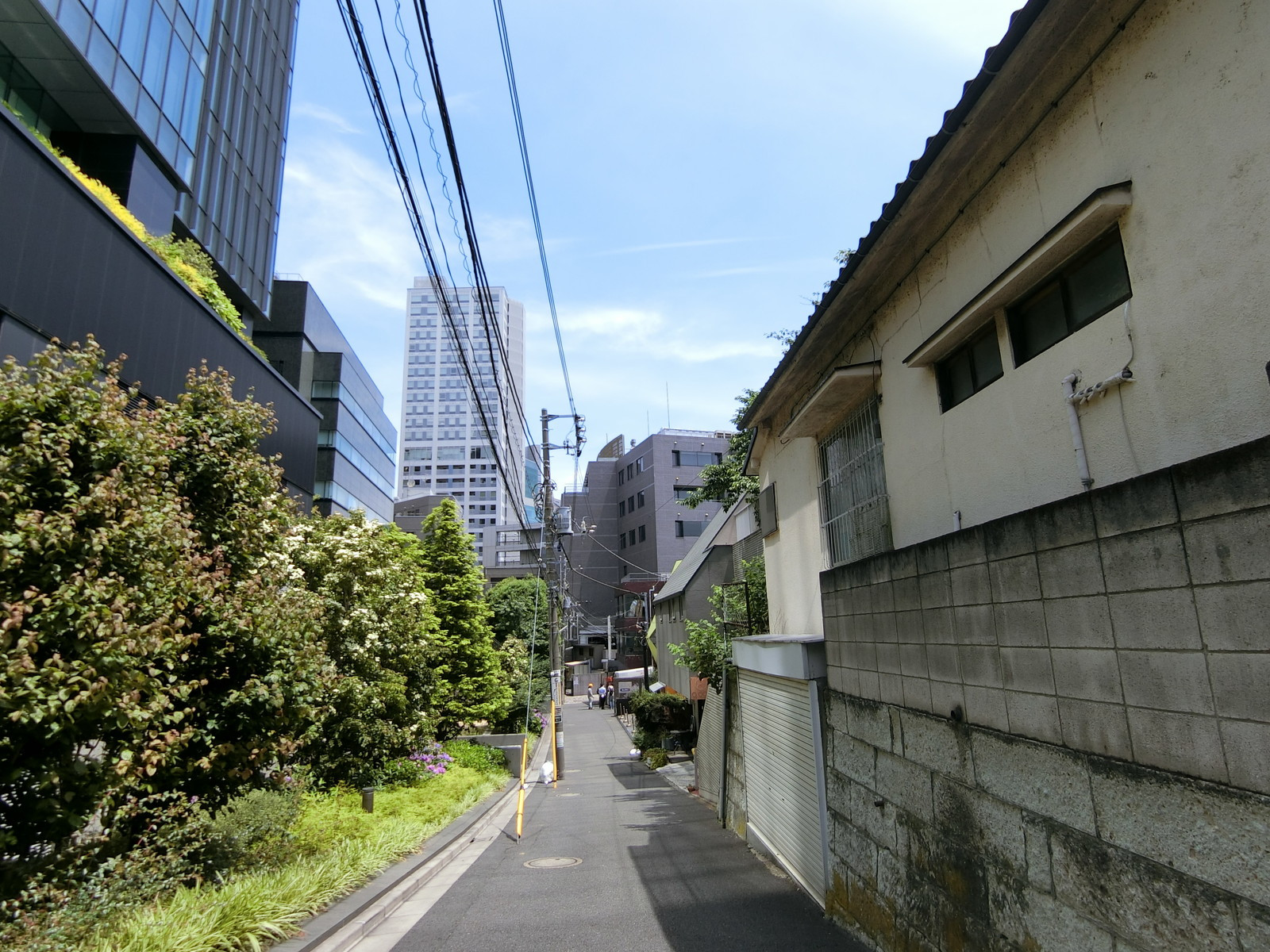 第一竹野ビル前面の通り