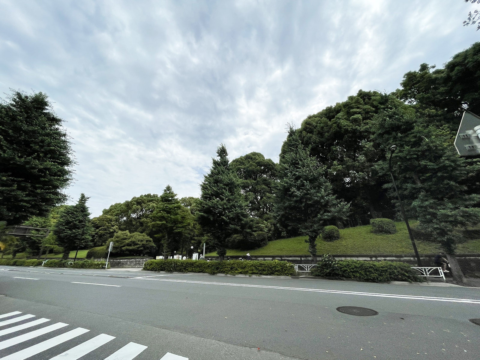 周辺は緑豊かなエリア