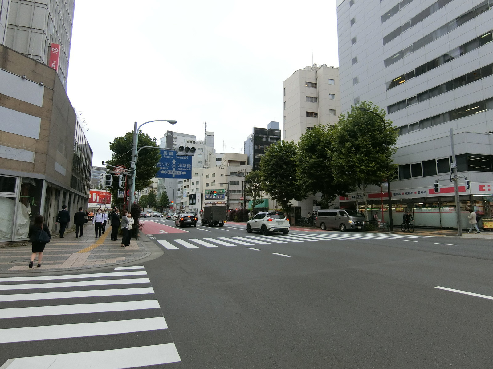 近くの白山通り